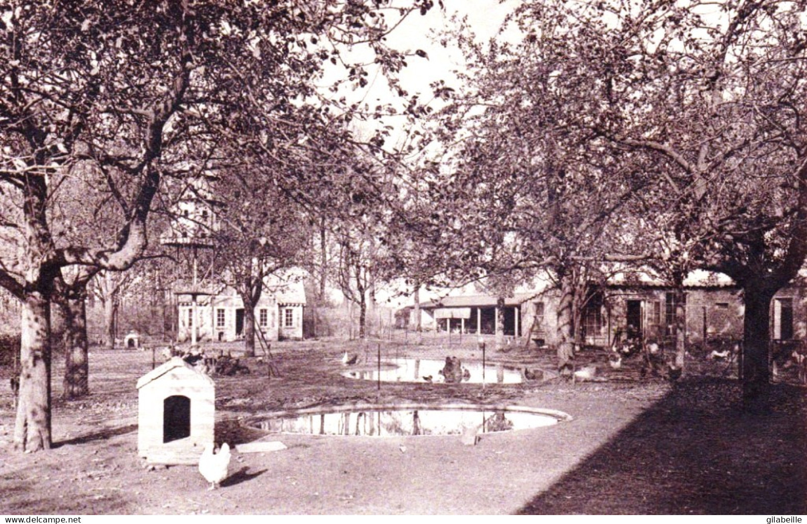 GENT - OOSTACKER - Pensionnat Des Freres De N.D De Lourdes - La Basse Cour - Gent