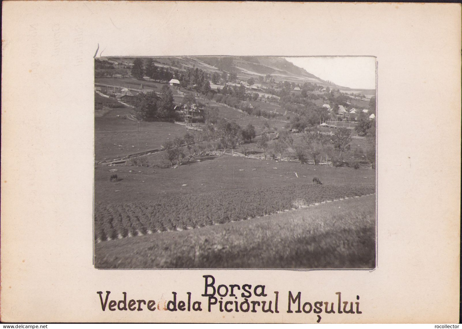Borșa, Județul Maramureș, Fotografie De Emmanuel De Martonne, 1921 G66N - Orte
