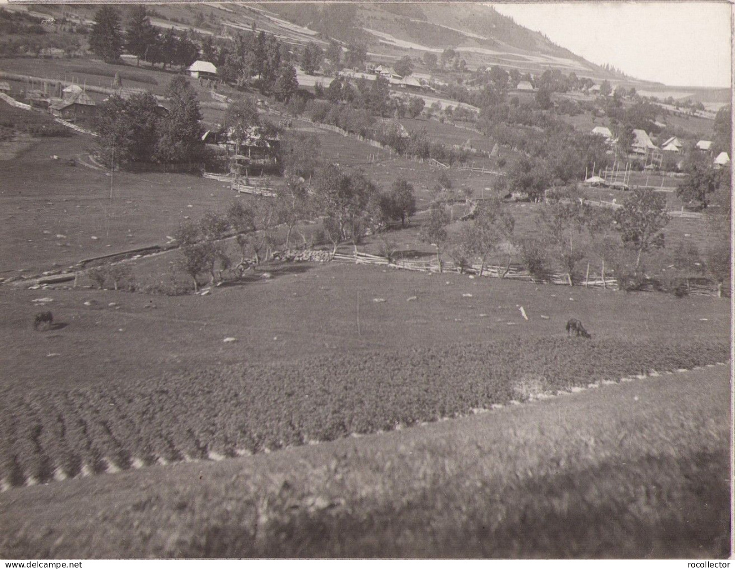 Borșa, Județul Maramureș, Fotografie De Emmanuel De Martonne, 1921 G66N - Orte