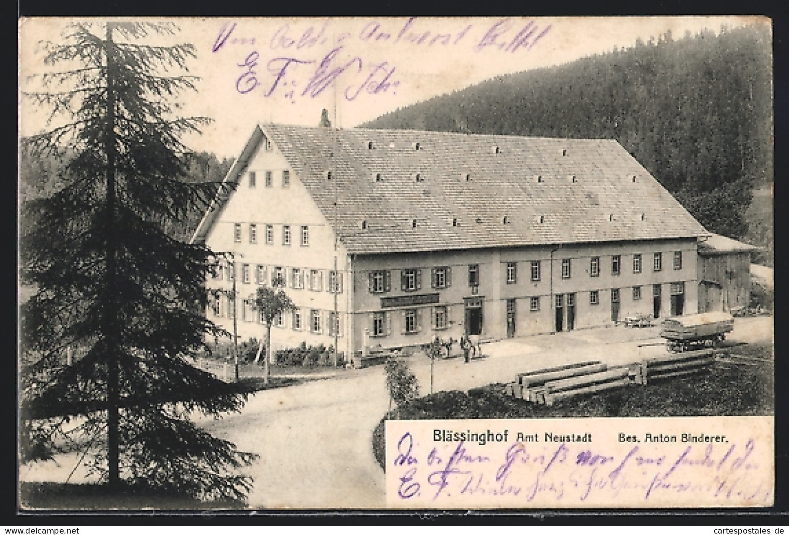 AK Neustadt / Schwarzwald, Hotel Blässinghof Von Anton Binderer  - Autres & Non Classés