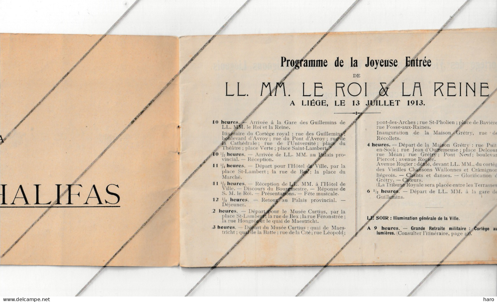 LIEGE 1913 - Programme De La Joyeuse Entrée De LL MM Le Roi Et La Reine  - Album Souvenir - Royauté ( B375) - Programmes