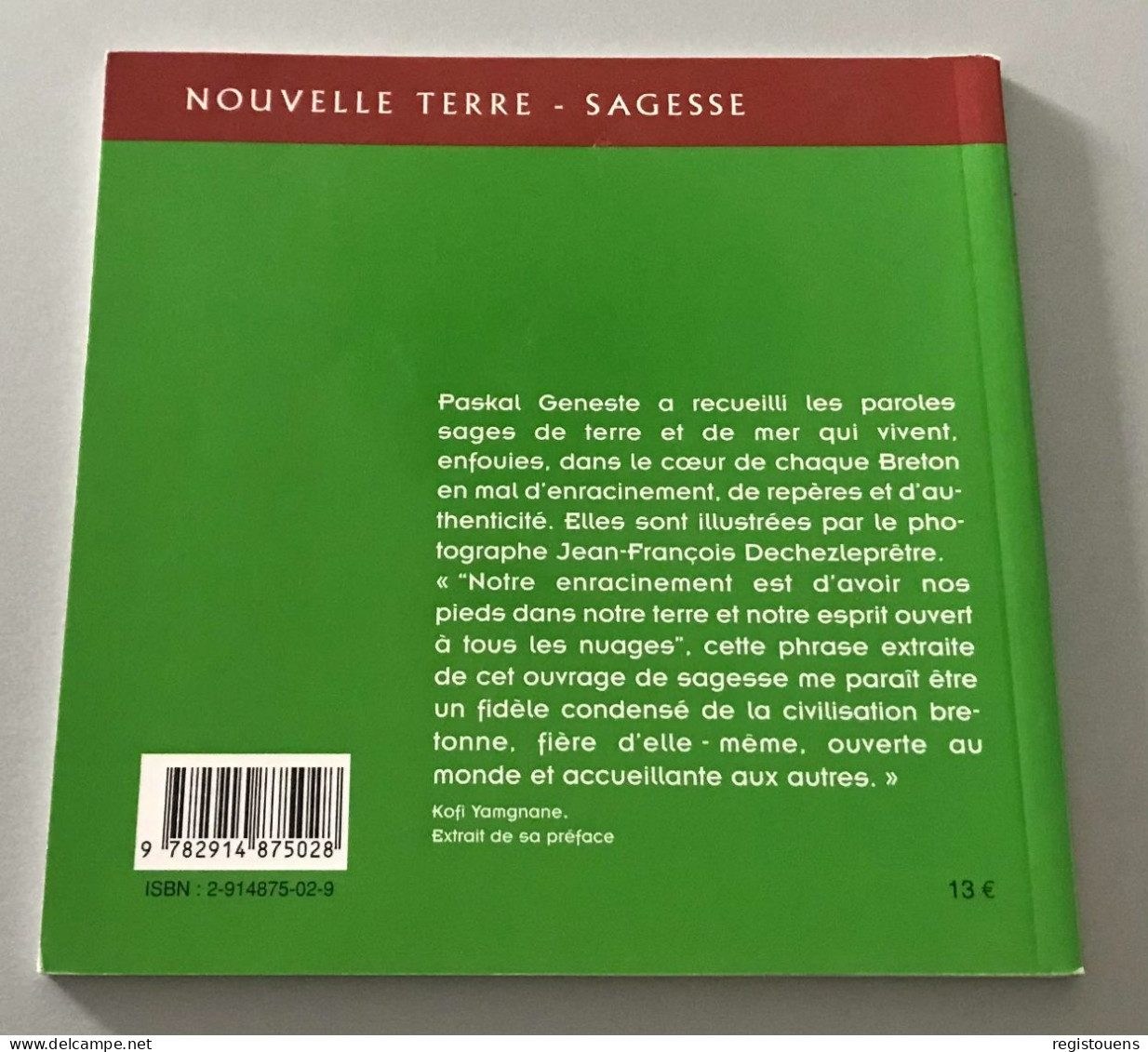 Sagesse Celte Bretagne - Paskal Geneste, François Dechezleprêtre - Other & Unclassified