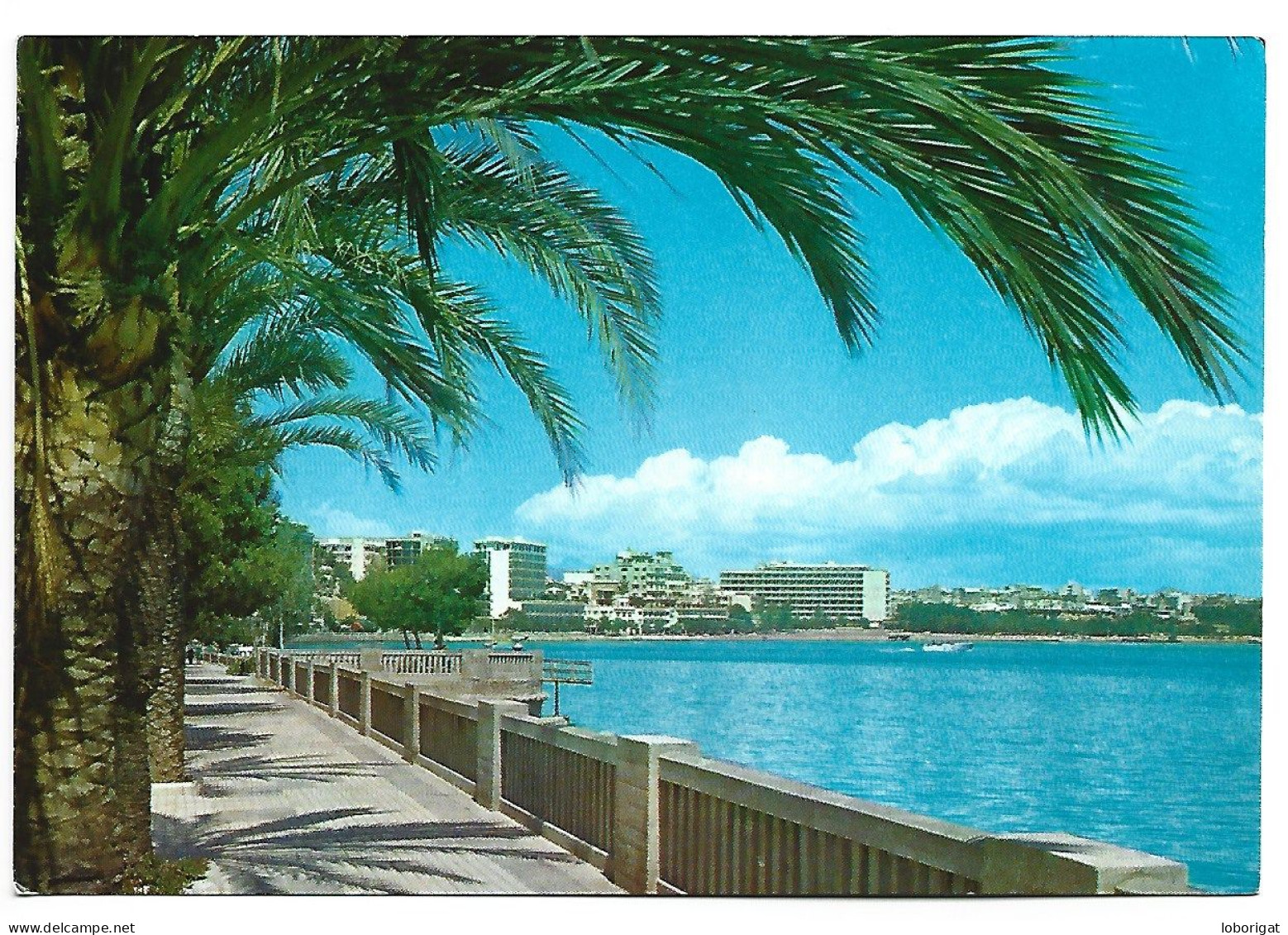 VISTA PARCIAL DEL PASEO MARITIMO.- PALMA / MALLORCA  ( BALEARES ).- ( ESPAÑA). - Mallorca