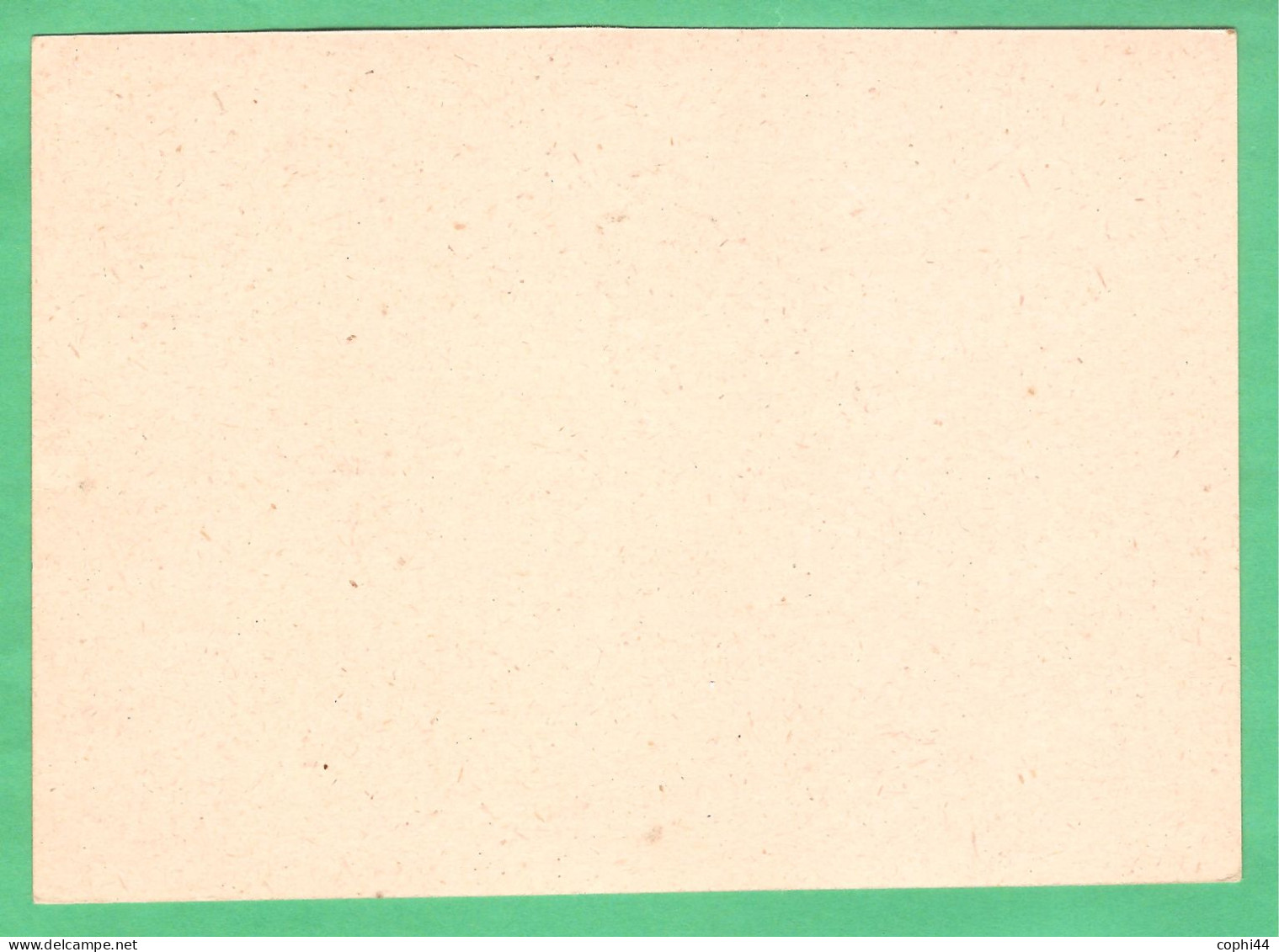 LUOGOTENENZA 1945 CARTOLINA POSTALE PROVVISORIE SOVRASTAMPA SU VINCEREMO Lire 1,20/15 C Verde (FILAGRANO C116) NUOVA - Altri & Non Classificati