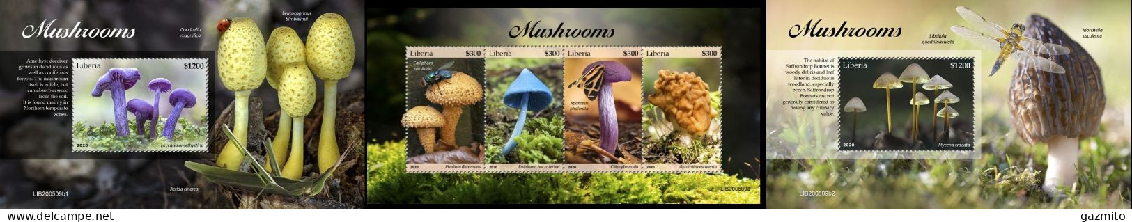 Liberia 2020, Mushrooms I, Insect, 4val In BF +2BF - Paddestoelen