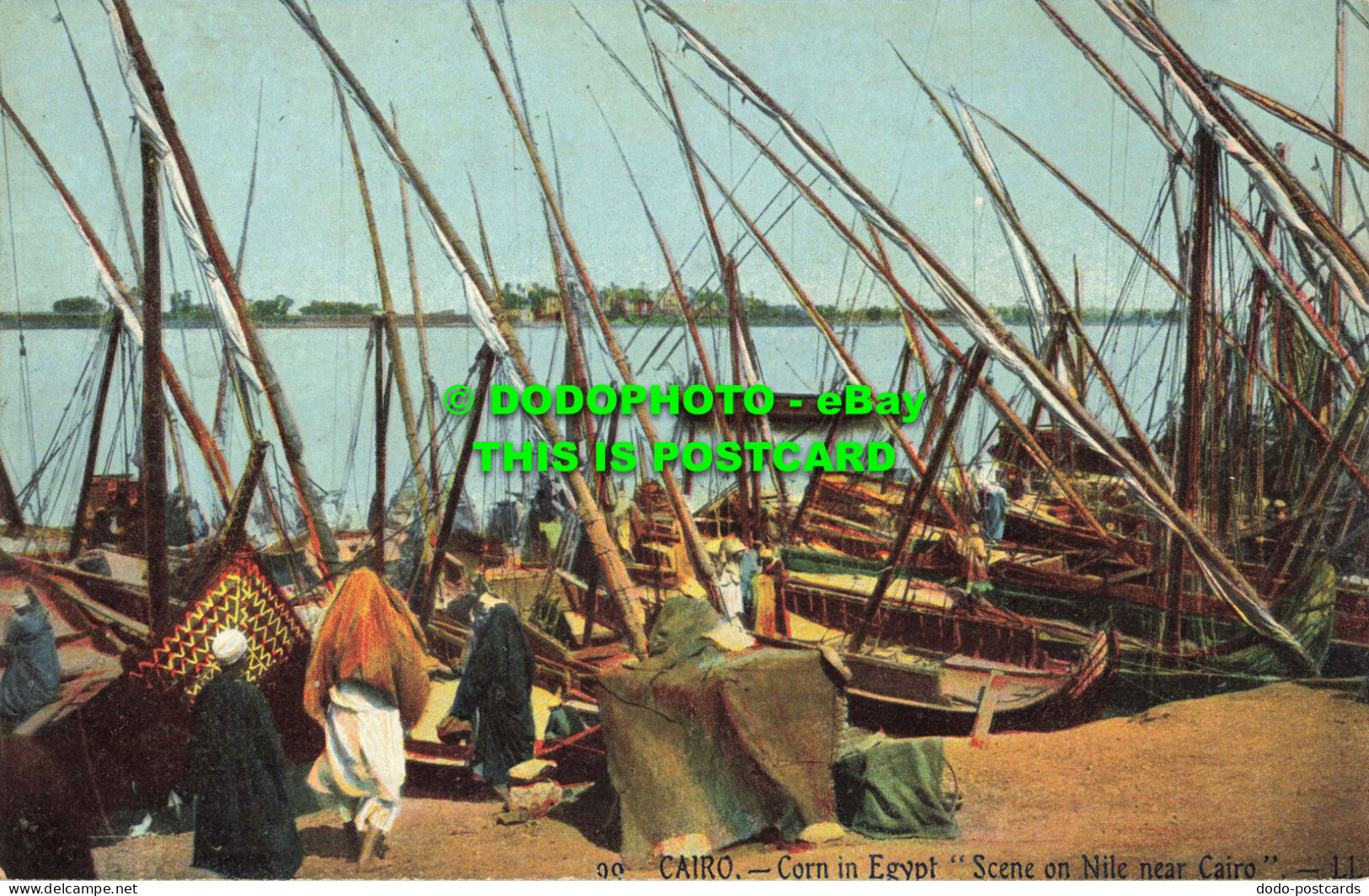 R559301 Cairo. Corn In Egypt. Scene On Nile Near Cairo. LL. 99 - Monde