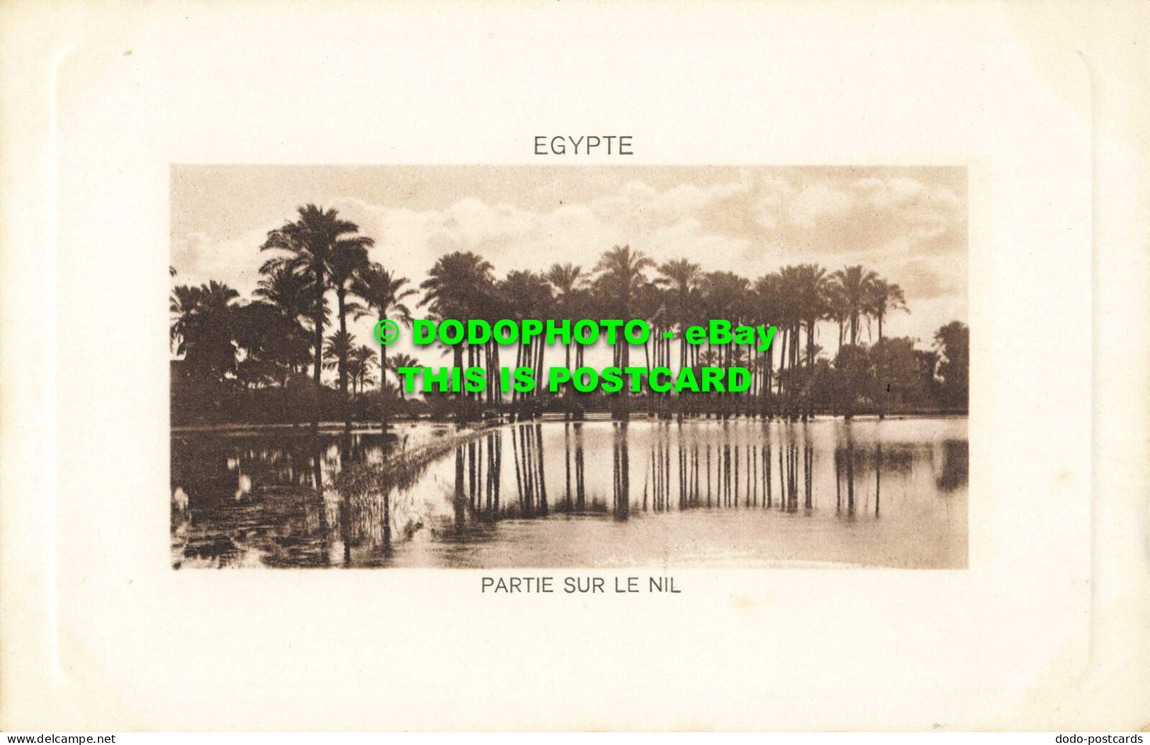 R559306 Egypte. Partie Sur Le Nil. L. And H. The Cairo Postcard Trust. No. 19 - Monde