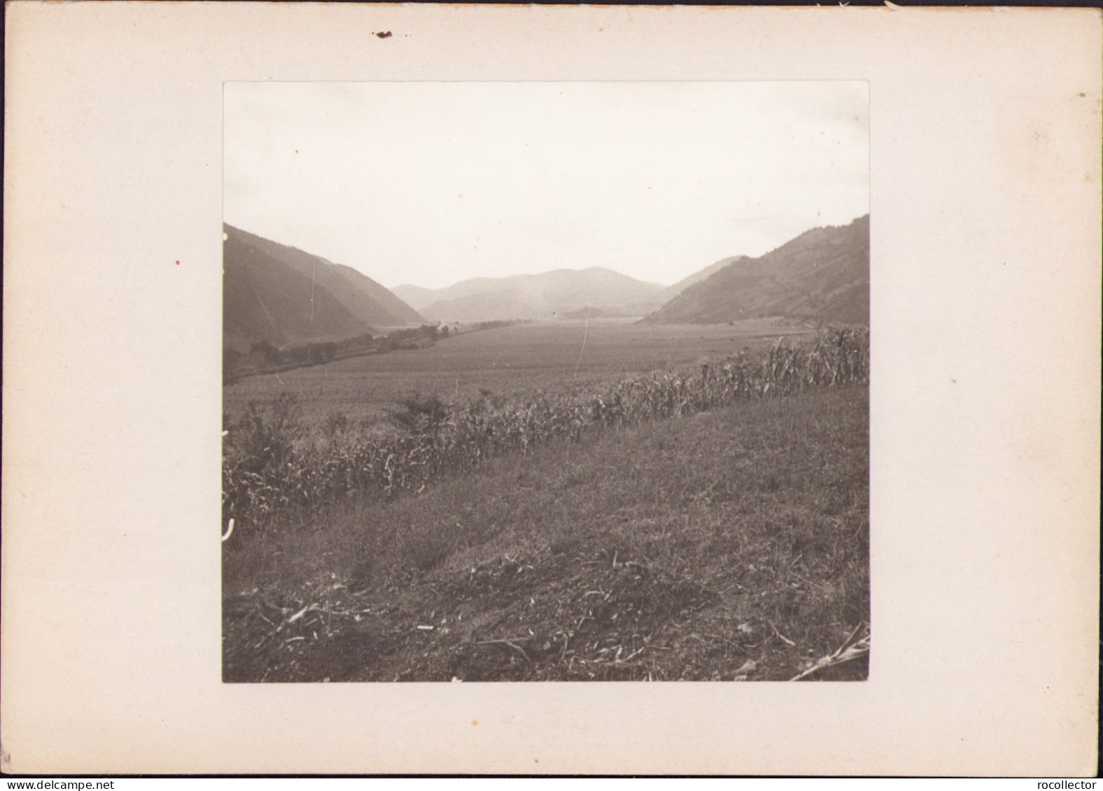 Valea Cernei La Toplița, Județul Hunedoara, Fotografie De Emmanuel De Martonne, 1921 G54N - Orte