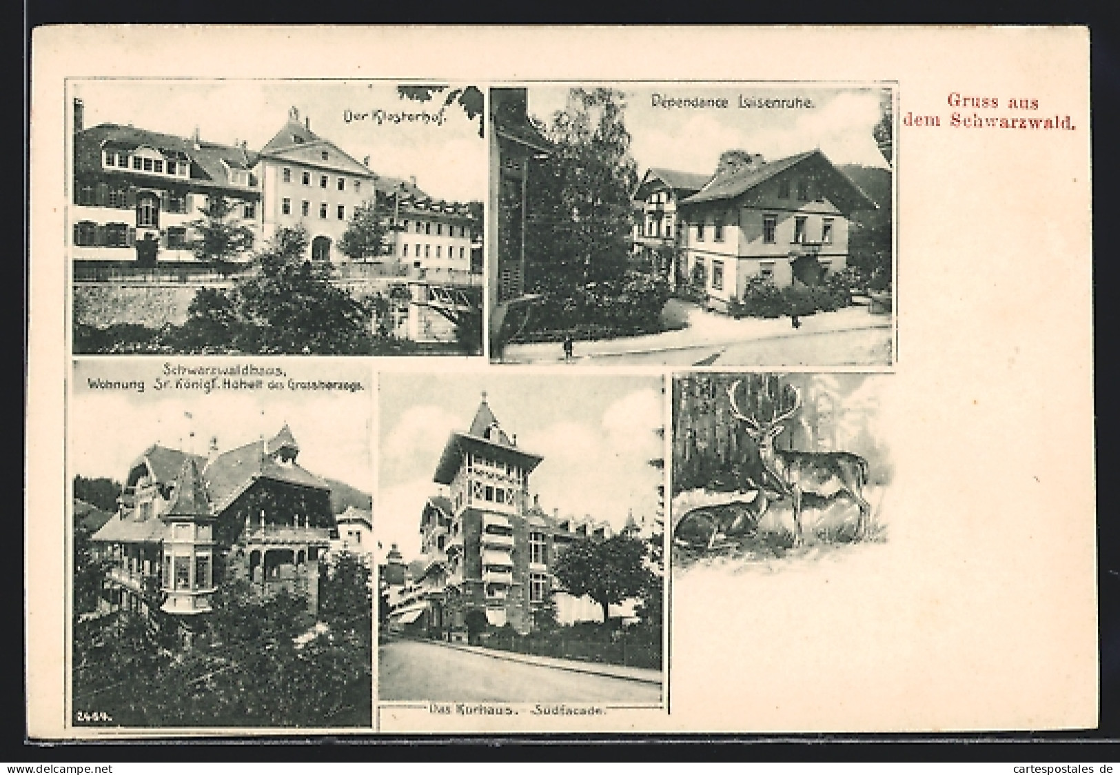 AK St. Blasien, Dépendance Luisenruhe, Klosterhof, Kurhaus  - St. Blasien