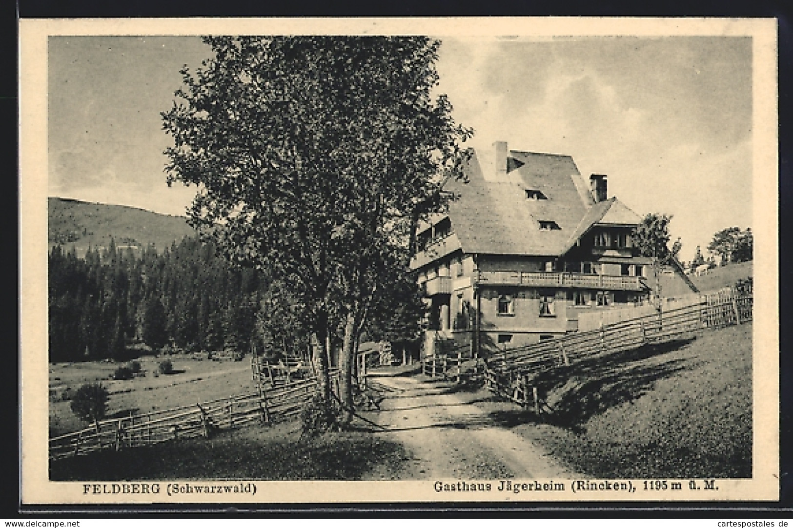 AK Feldberg / Schwarzwald, Gasthaus Jägerheim  - Feldberg