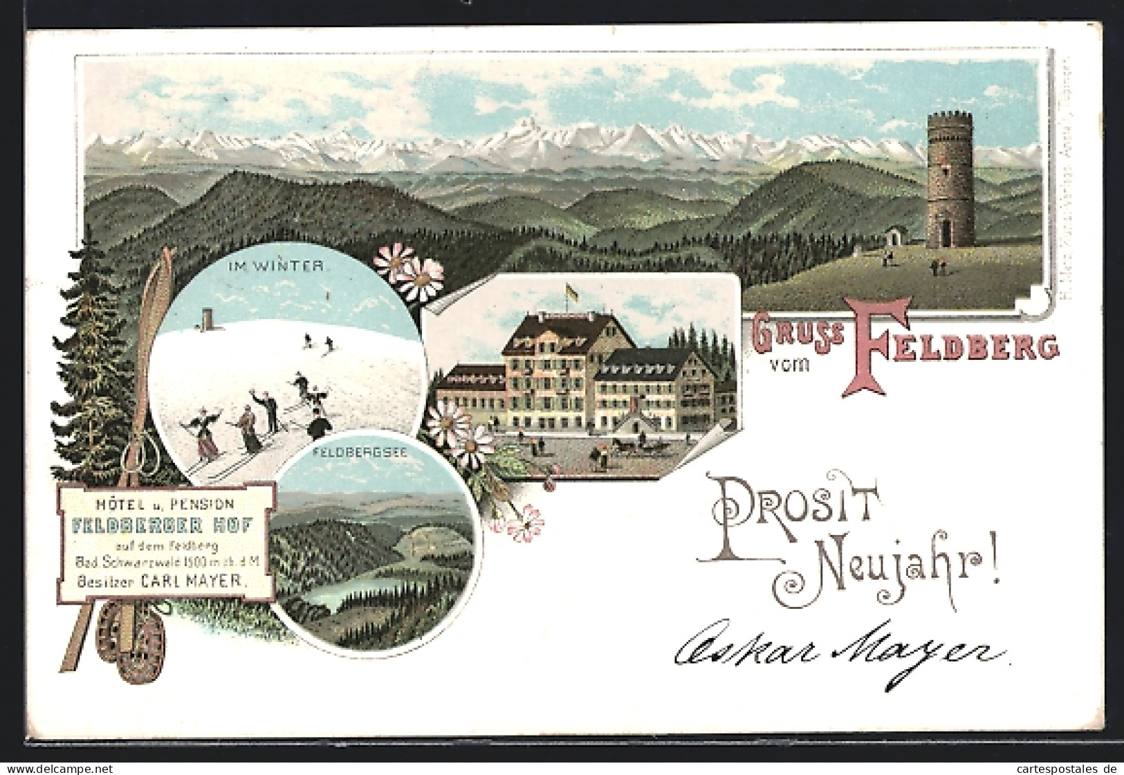 Lithographie Feldberg / Schwarzwald, Hotel Und Pension Feldberger Hof, Panorama  - Feldberg