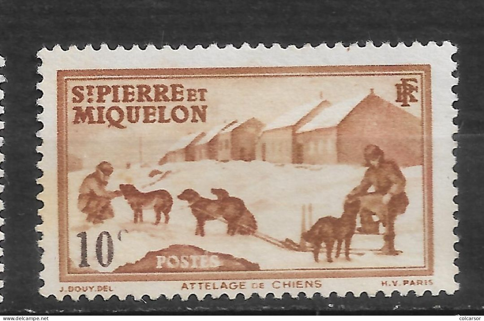 SAINT PIERRE ET MIQUELON N°  171  "   ATTELAGE DE CHIENS " - Unused Stamps