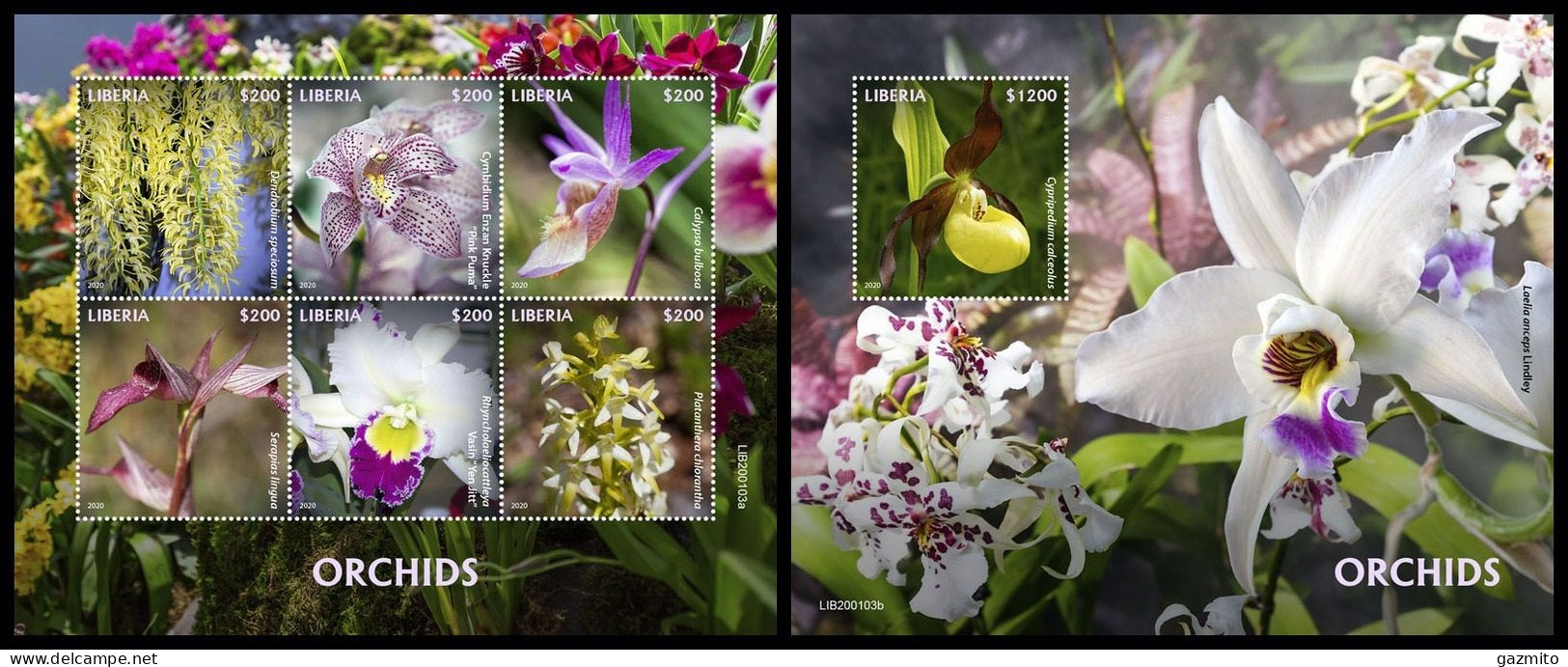 Liberia 2020, Orchids II, 6val In Block +Block - Orchideeën