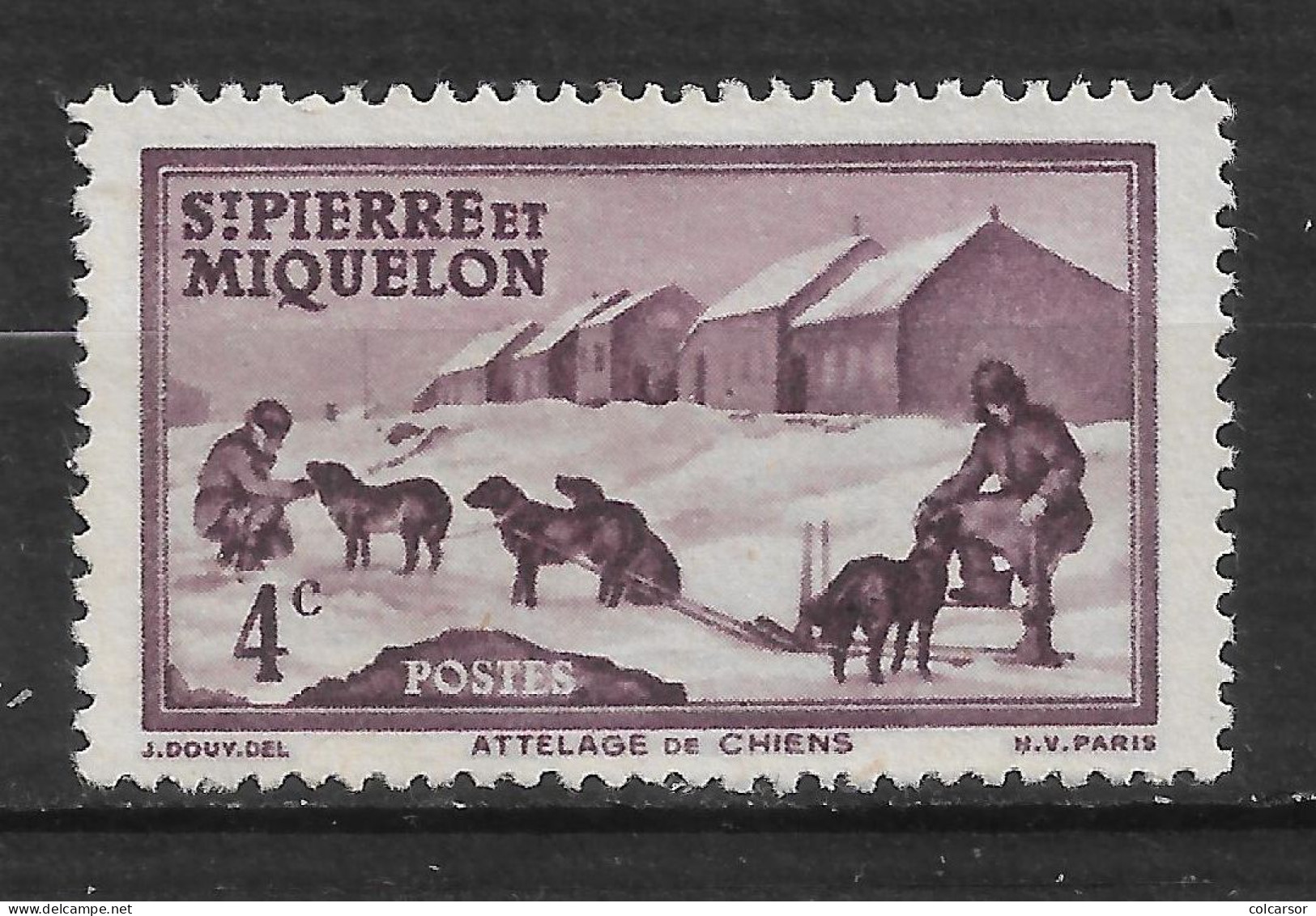 SAINT PIERRE ET MIQUELON N°  291 "   ATTELAGE DE CHIENS " - Unused Stamps