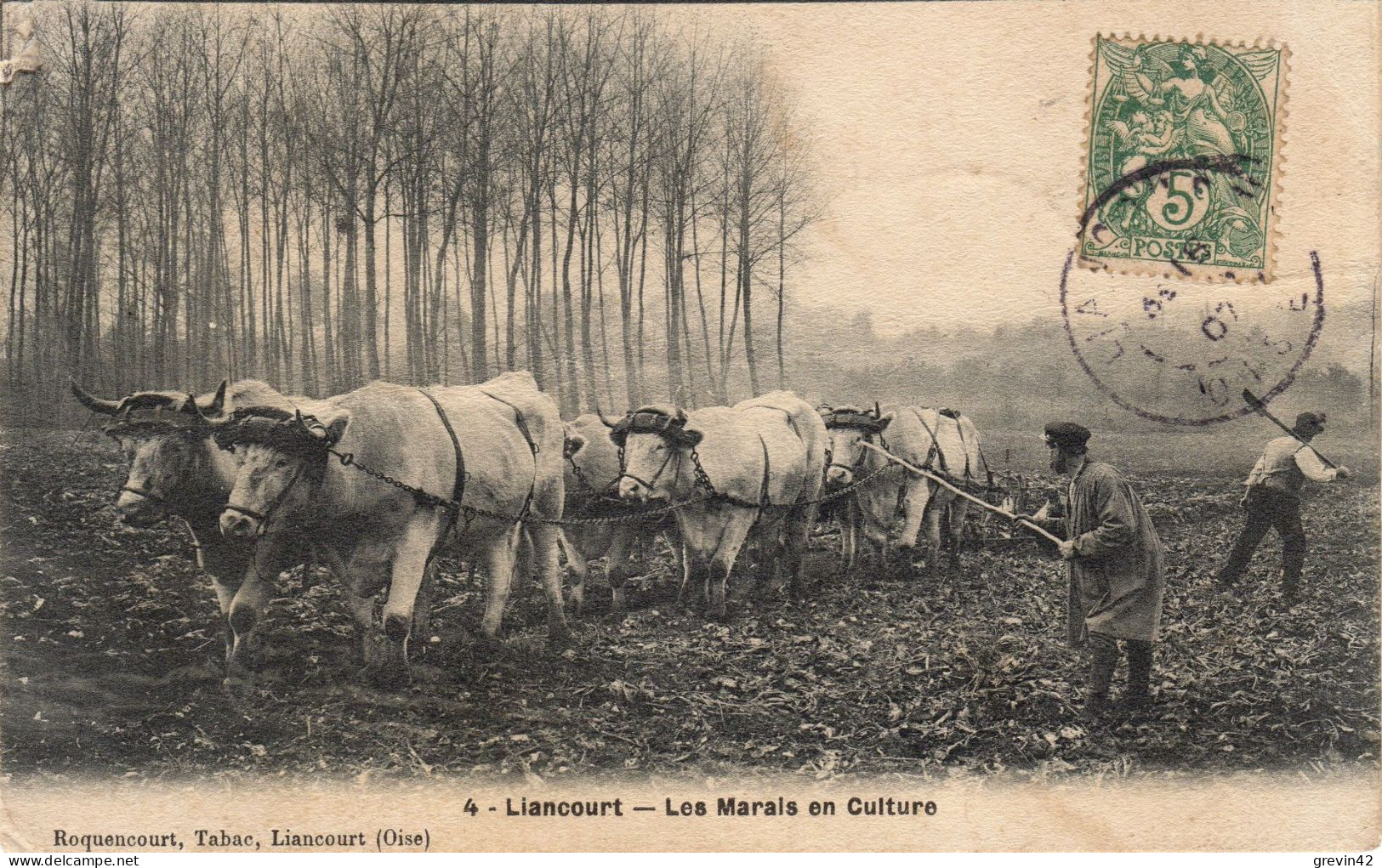 60 -  LIANCOURT - Les Marais En Culture - Liancourt