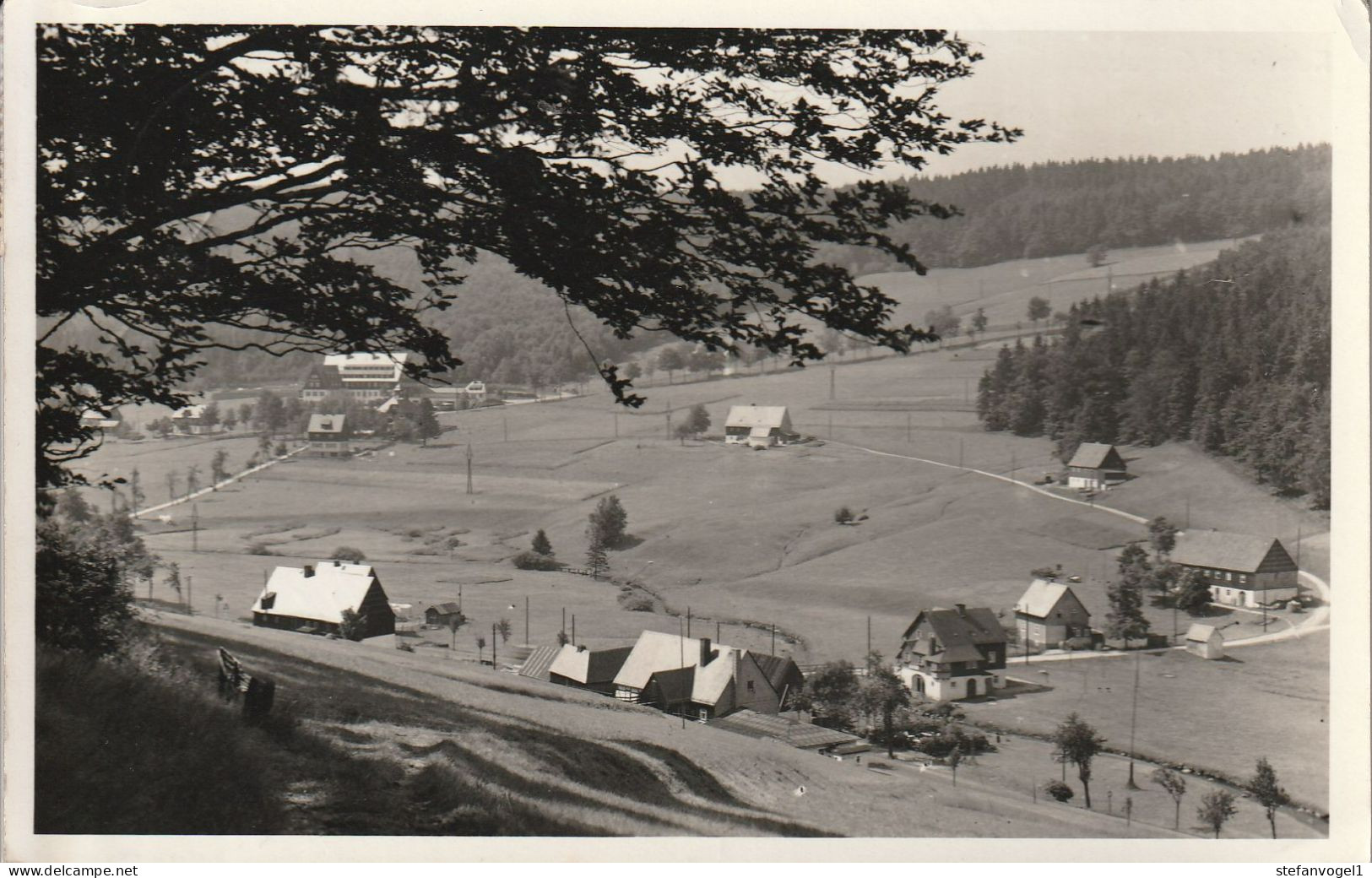 Rehefeld,  Gel. 1959   Dorfpartie - Rehefeld
