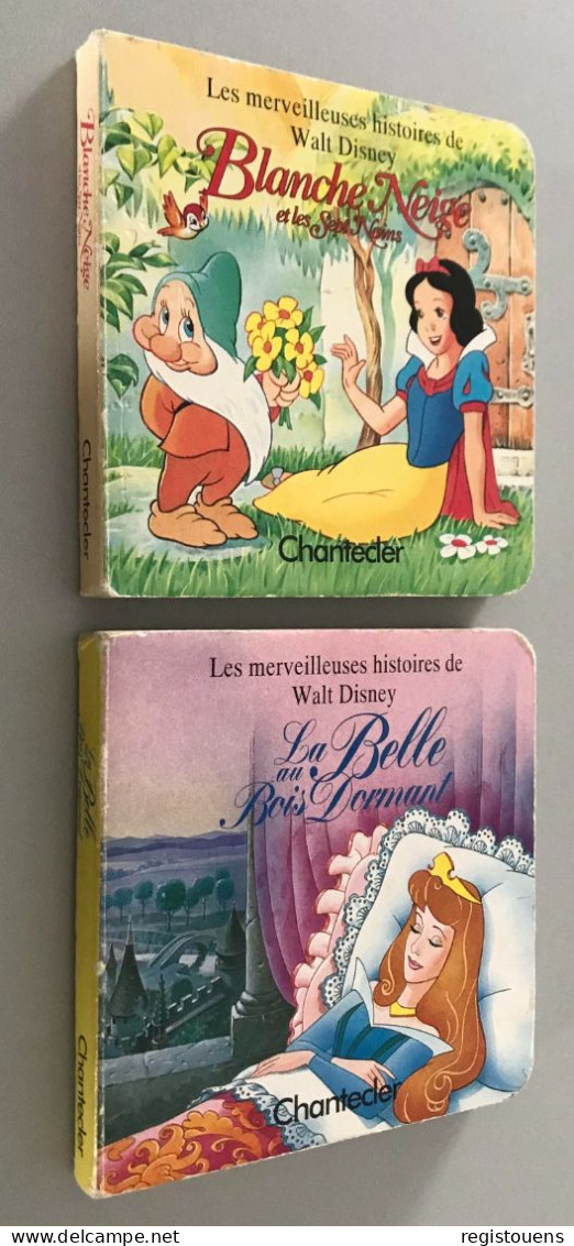 Lot De 2 Mini-livres Blanche Neige Et Belle Au Bois Dormant - Chantecler - Bücherpakete