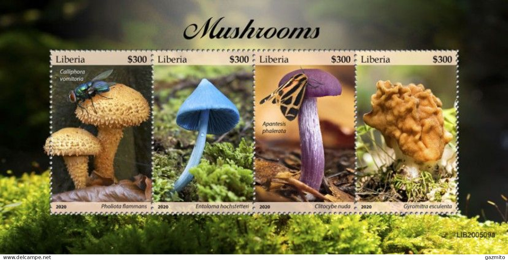 Liberia 2020, Mushrooms I, Butterfly, 4val In BF - Vlinders