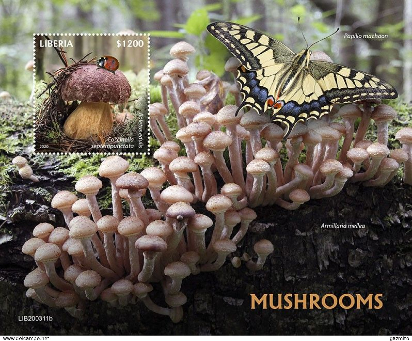 Liberia 2020, Mushrooms II, Butterly, BF - Mariposas