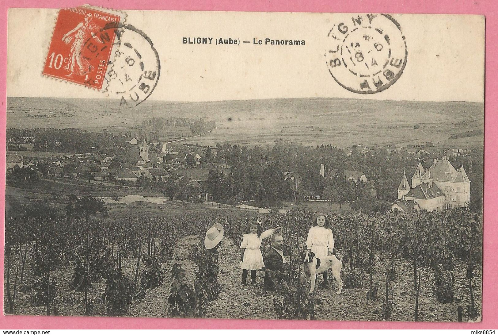 SAS0705  CPA  BLIGNY  (Aube)  Le Panorama - Vignes  ++++++ - Autres & Non Classés