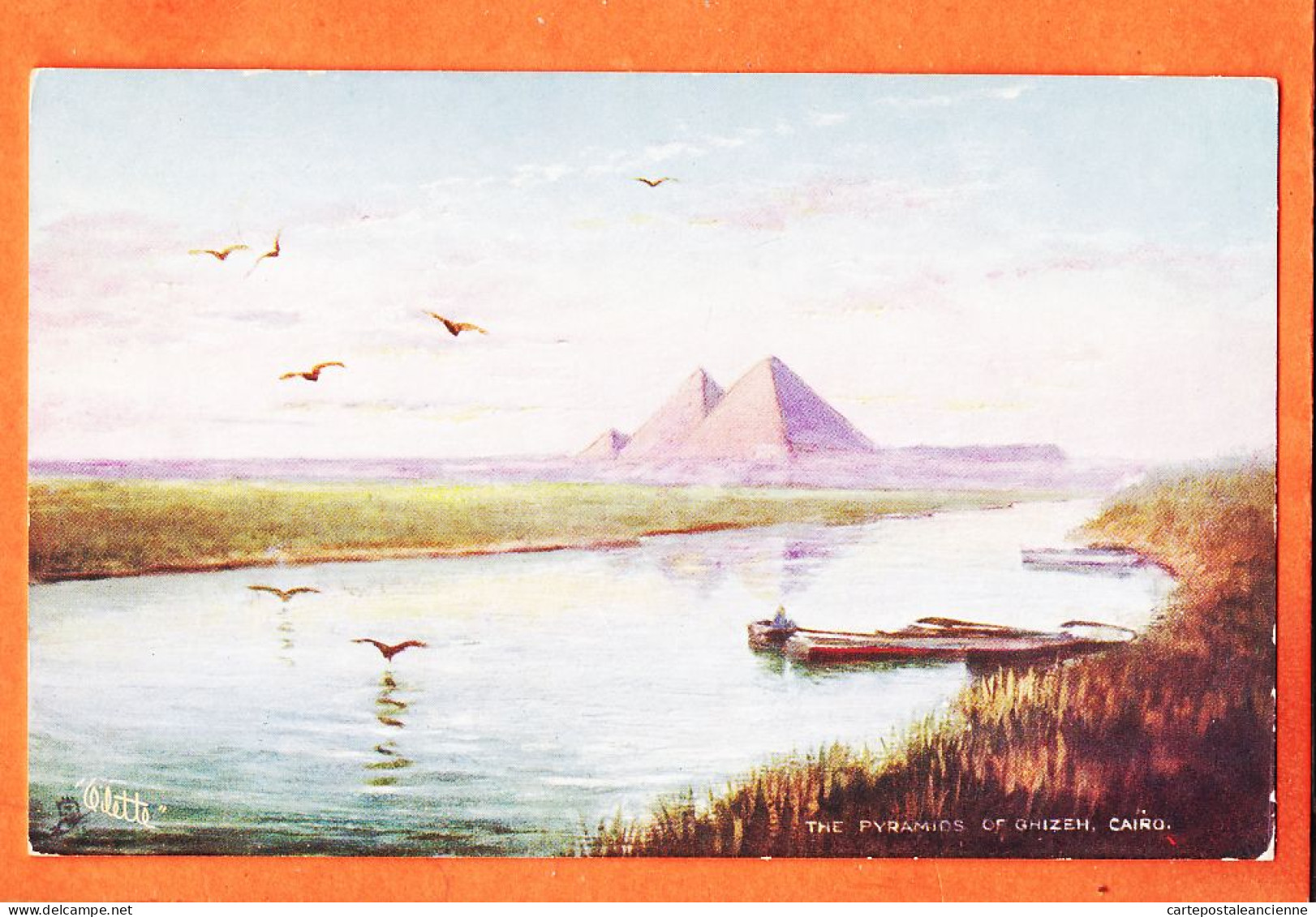 09962 / ⭐  Lithographie OILETTE Egypte ◉ Pyramides CAIRO Pyramids Of GIZEH 1905s ◉ RAPHAEL TUCK Picturesque EGYPT 7201 - Guiza