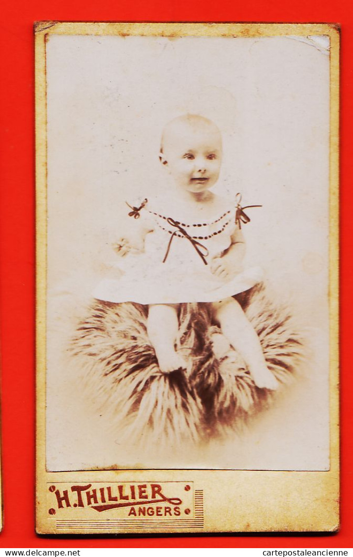 09826 / ⭐ Photo CDV 49-ANGERS 1890s ◉ JEANNE Bébé Sur Fourrure ◉ Photographie H. THILLIER 22 Boulevard De SAUMUR - Anonieme Personen