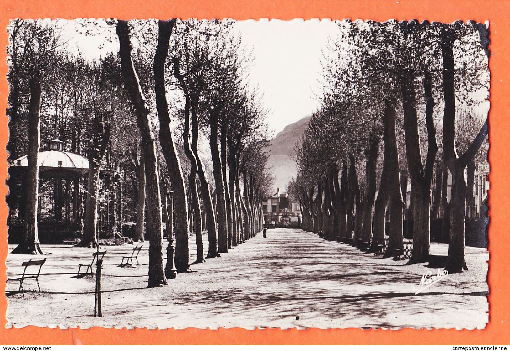 09526 /⭐ ◉  MAZAMET 81-Tarn Le Jardin Public Kiosque De Musique 1950s  Photo-Bromure P.F NARBO N° 7 - Mazamet