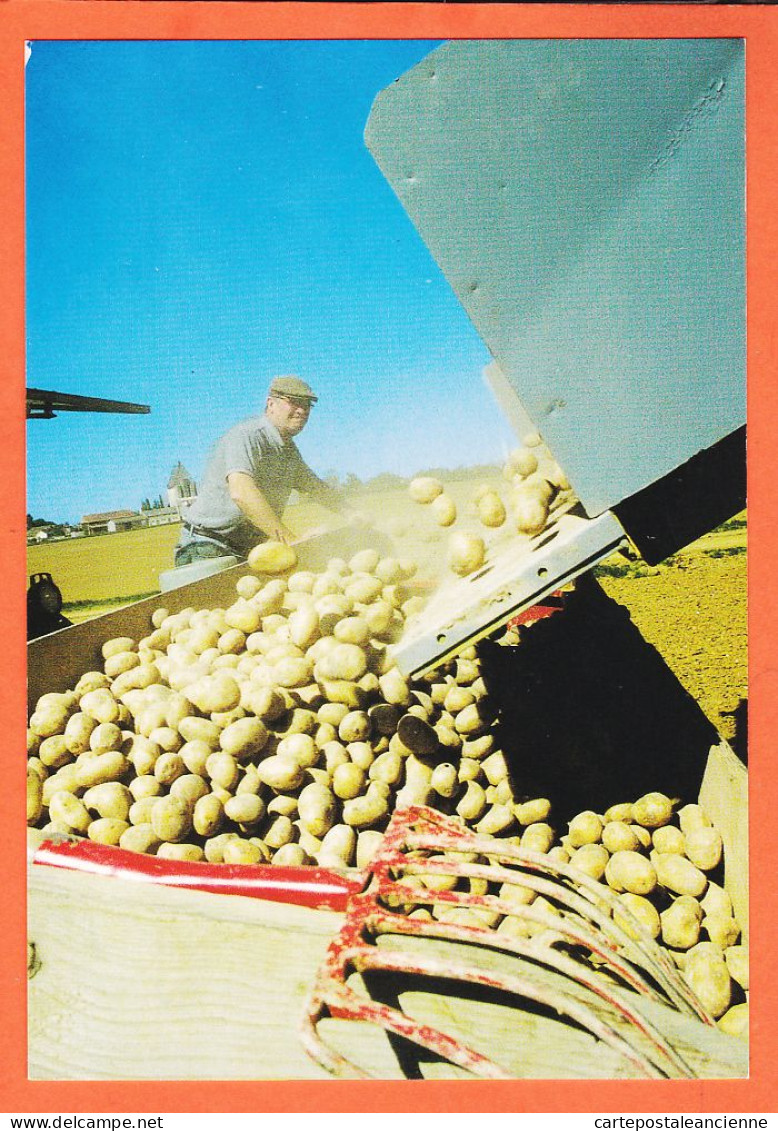 09521 /⭐ ◉  28-SAINVILLE  J-P MORCHOISNE Plantation Pommes Terre AGATA Remplissage Semoir 11-05-2001 Cliché M LAURENT - Altri & Non Classificati