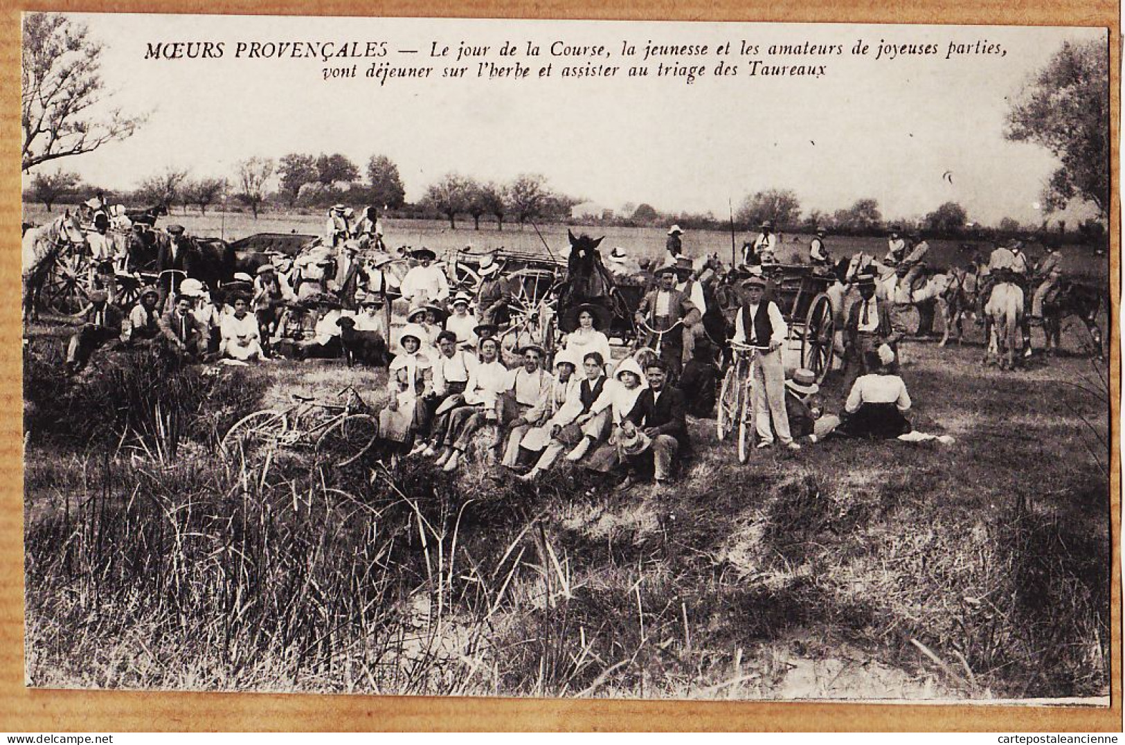 09697 / ⭐ ♥️  Jour Course Triage Taureaux Jeunesse Amateurs Joyeuses Parties Déjeuner Camargue MOEURS PROVENCALES 1910s  - Other & Unclassified