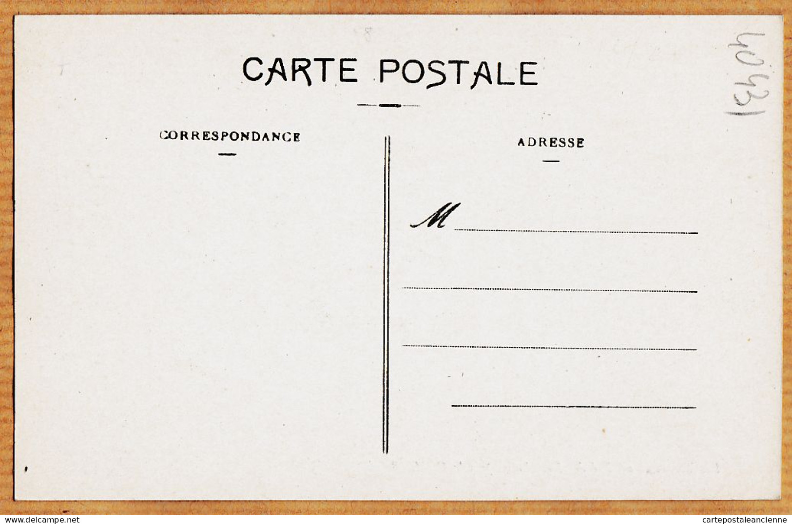 09744 / ⭐ Près LE CAILAR 30-Gard Les Taureaux Au Pré Des DEMOISELLES Camargue Gard 1910s  - Other & Unclassified