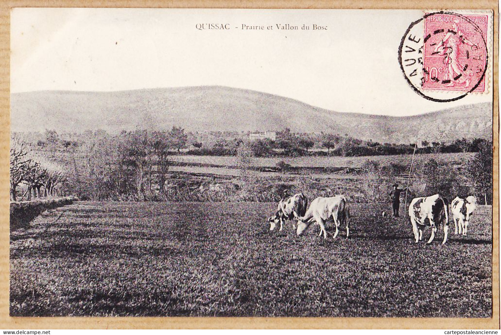 09725 / ⭐ ♥️ Rare QUISSAC 30-Gard Prairie Et Vallon Du BOSC Pâturage Vaches 1905 à DUCROS Rue N.D Nazareth Paris - Quissac