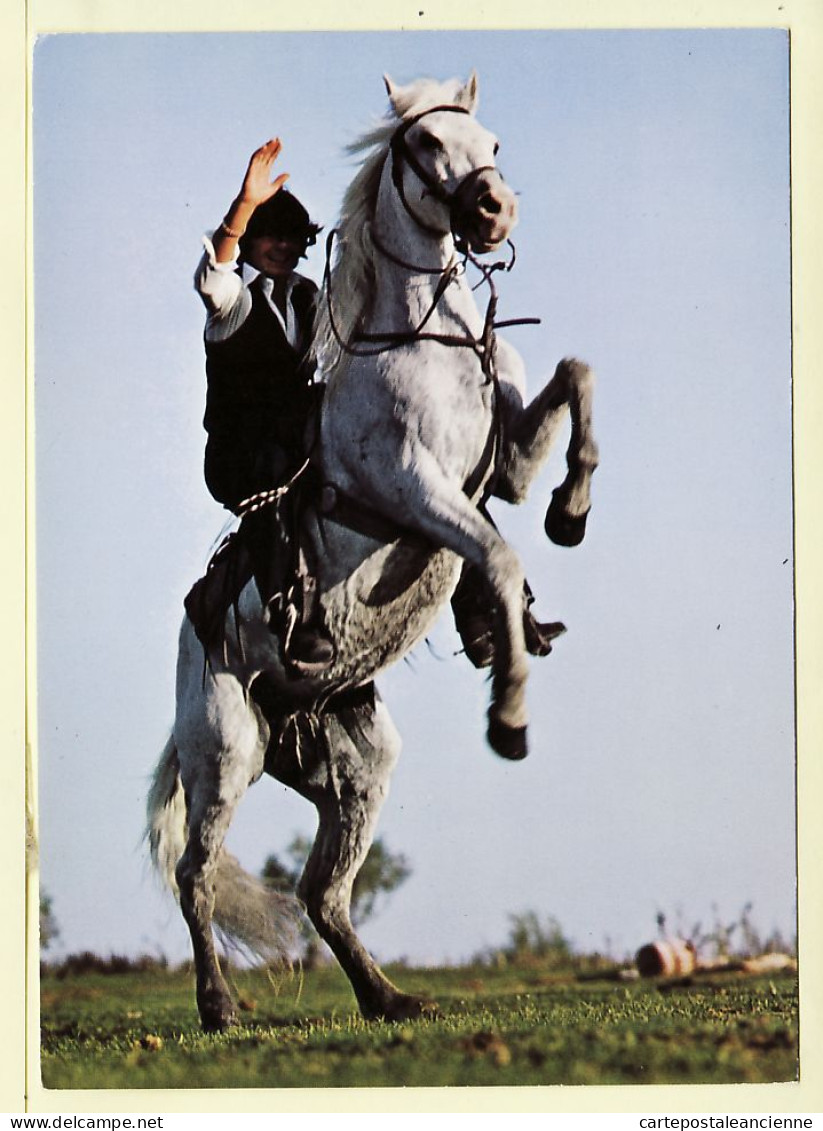 09712 / ⭐ LA CAMARGUE 30-Gard CABRADE Gardian Chevaux Cheval Horse 1980s ¤ AG AMEDAN Foto REINHARD 5133 - Other & Unclassified