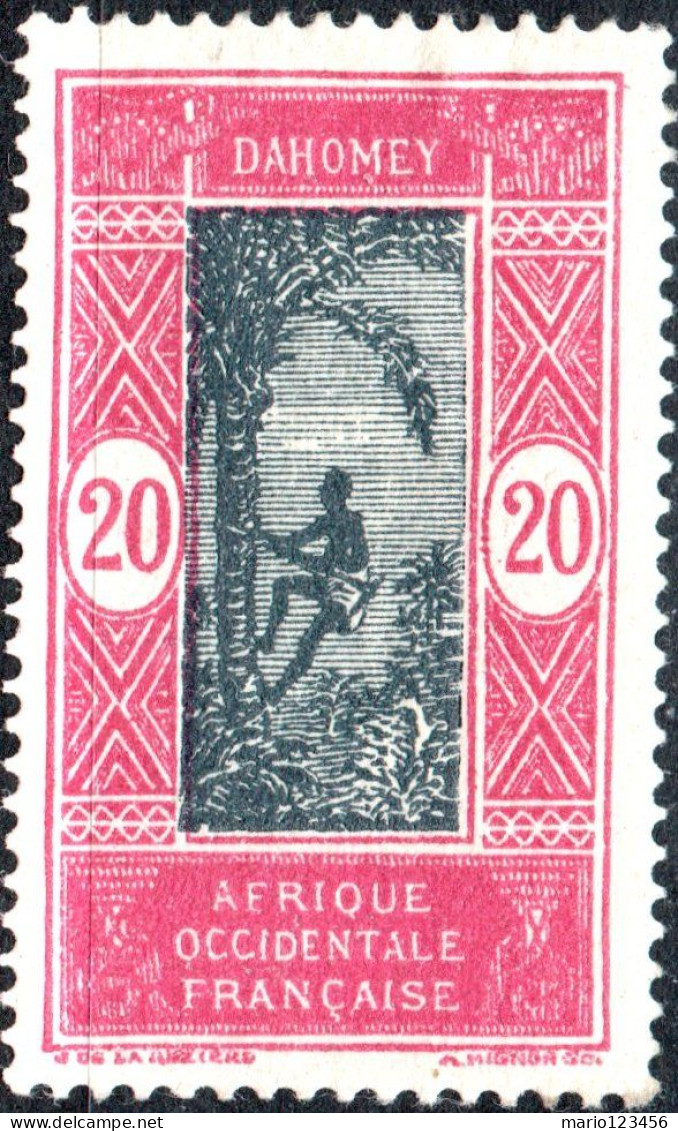 DAHOMEY, COSTUMI LOCALI, 1927, NUOVI (MLH*) Mi:DY 71, Scott:DY 53, Yt:DY 85 - Unused Stamps