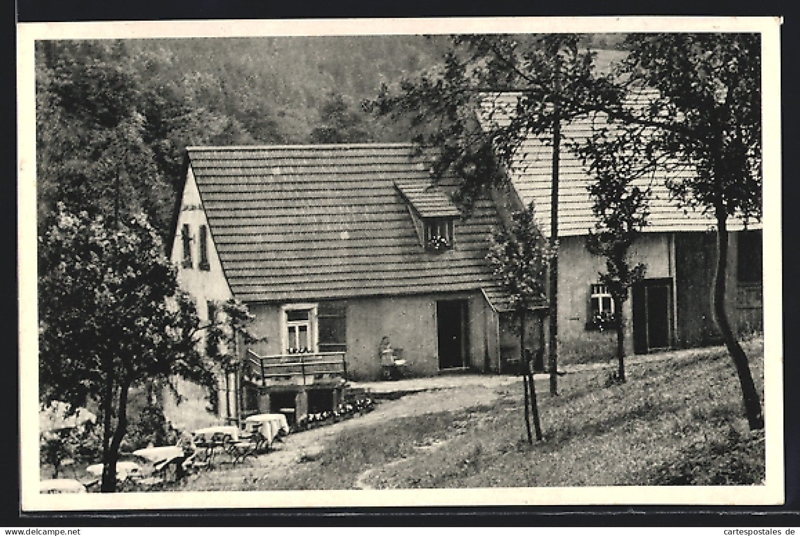 AK Sienhachenbach, Gasthaus Forsthaus Antestal  - Jagd