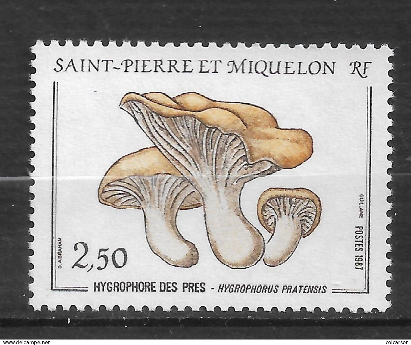 SAINT PIERRE ET MIQUELON N°   475 " CHAMPIGNONS " - Ongebruikt