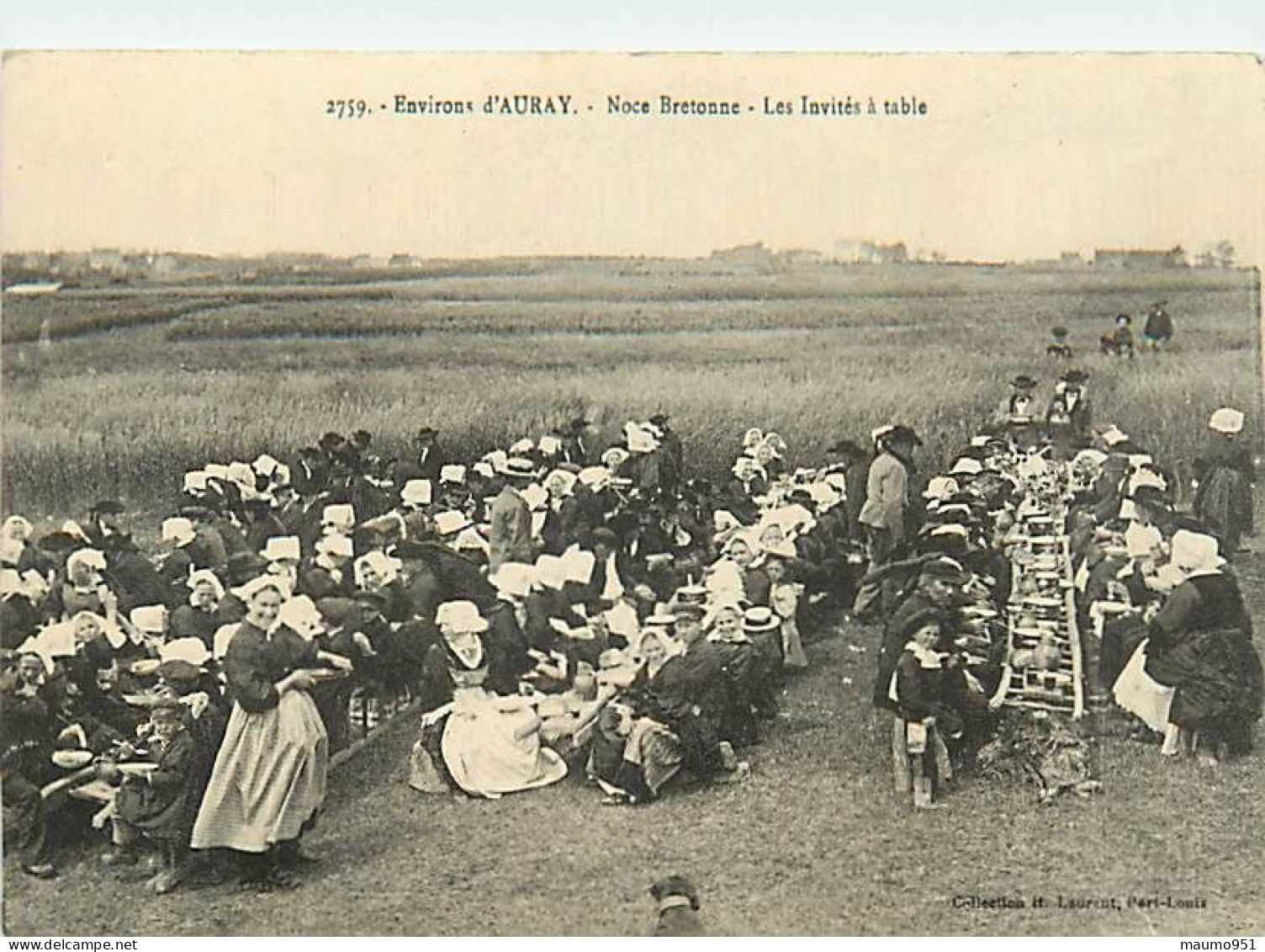 56 ENVIRONS  D'AURAY - Noce Bretonne . Les Invités à Table - Auray