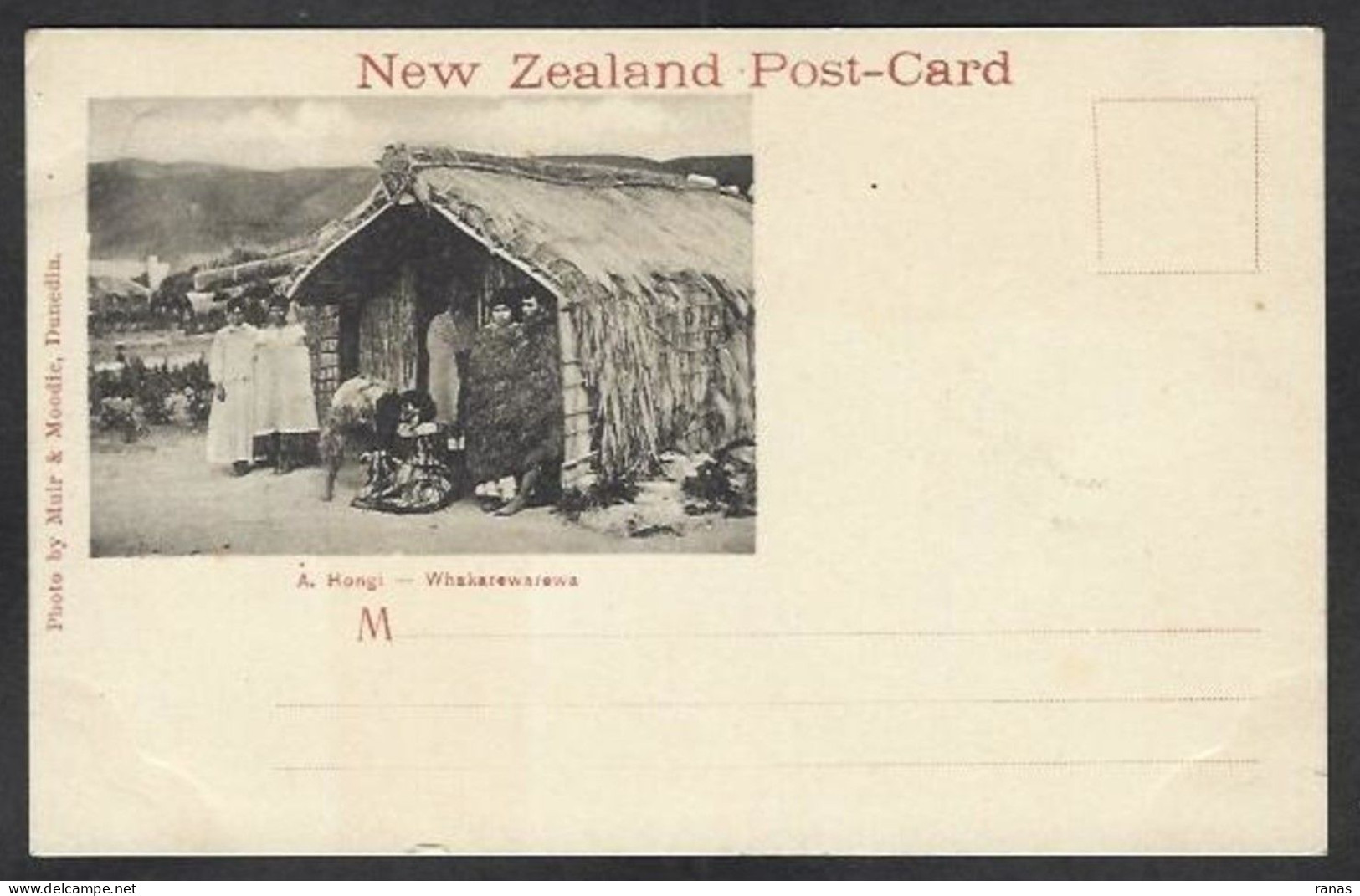 CPA Nouvelle Zélande Maori Non Circulé - New Zealand