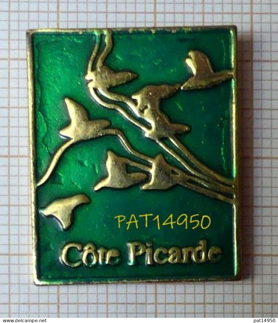 PAT14950 PICARDIE  CÔTE PICARDE   Vol D' Oiseaux Migrateurs - Animals