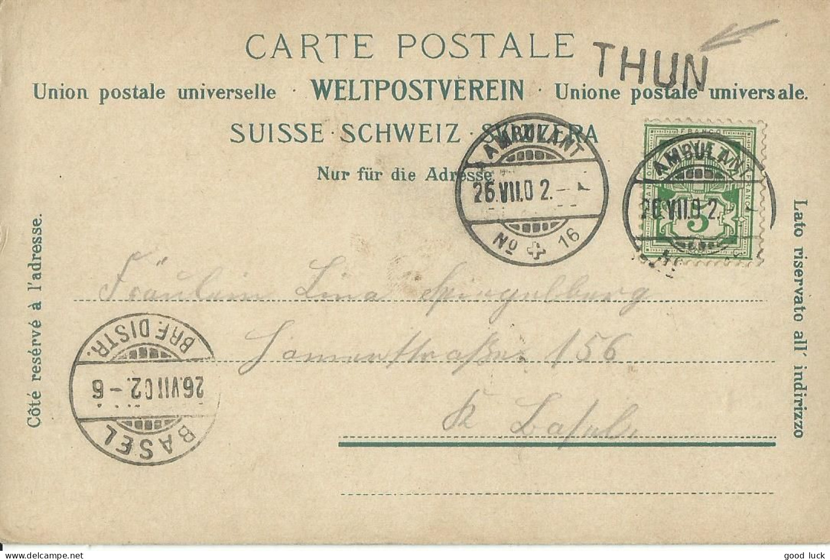 SUISSE  CARTE  5c MARQUE LINEAIRE THUN + AMBULANT N° 16 POUR BALE DE 1902 LETTRE COVER - Brieven En Documenten