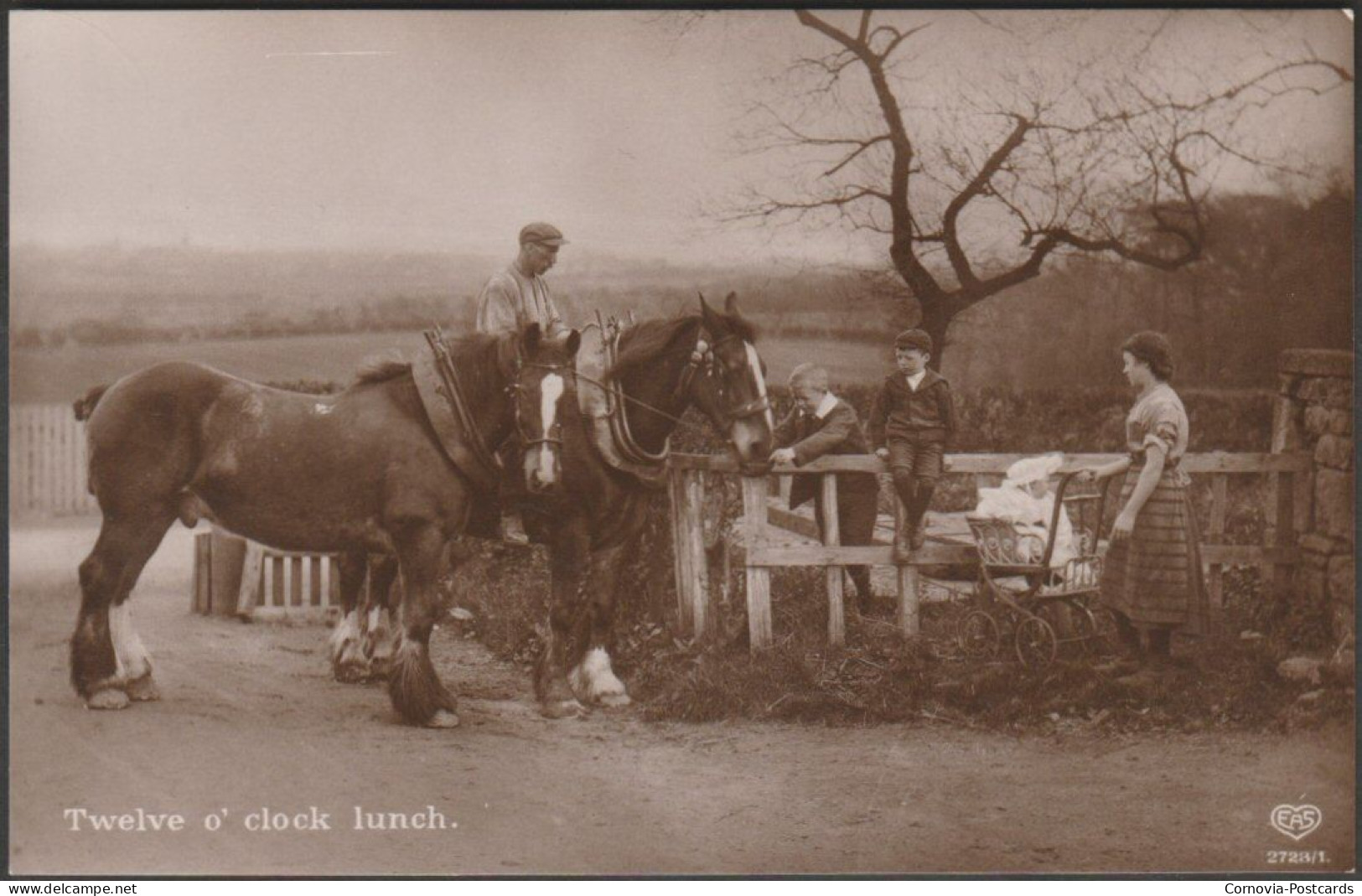 Twelve O' Clock Lunch, C.1910 - Schwerdtfeger RP Postcard - Chevaux