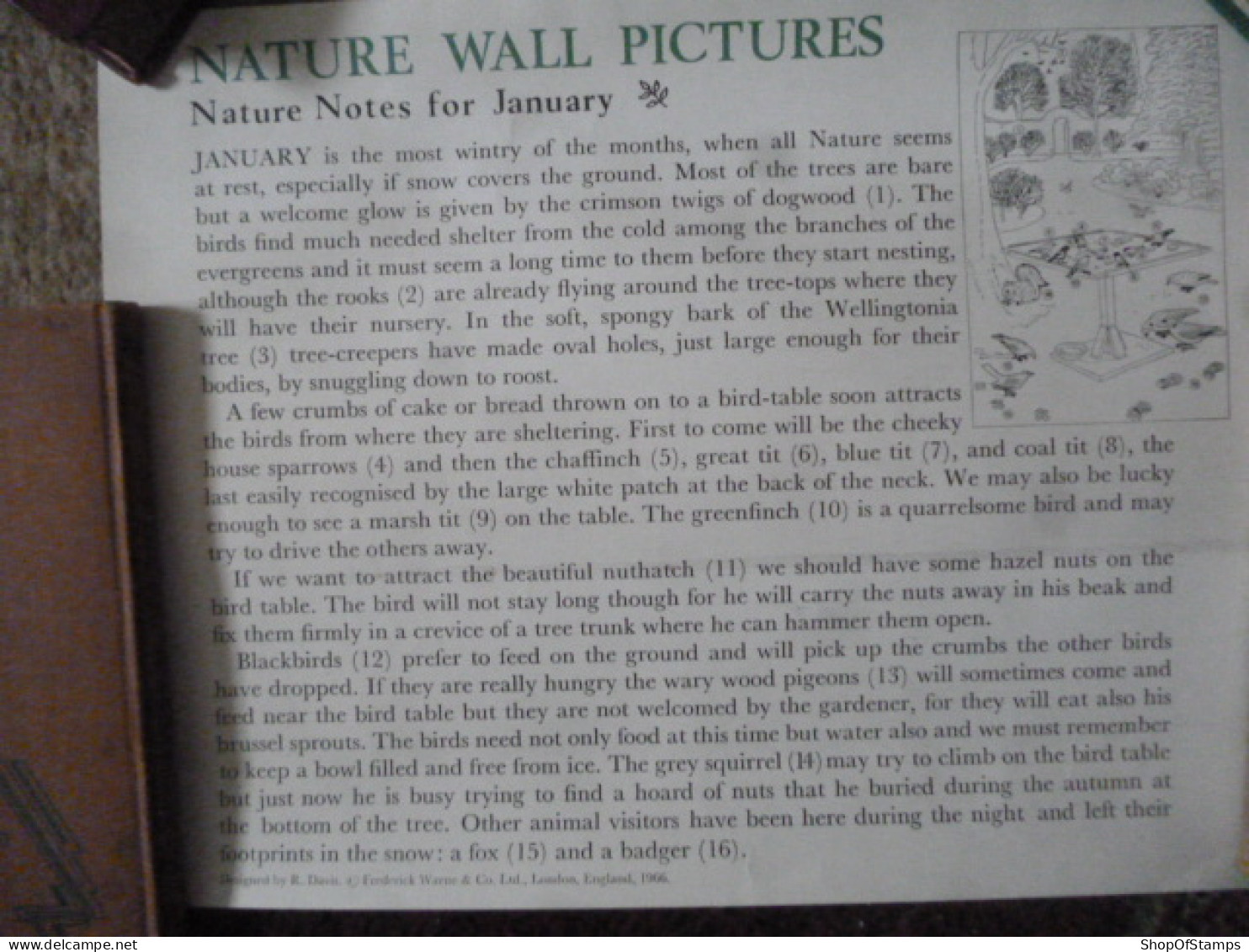 NATURE WALL PICTURE LARGE PRINT With SMALL SCRIPT - Afiches