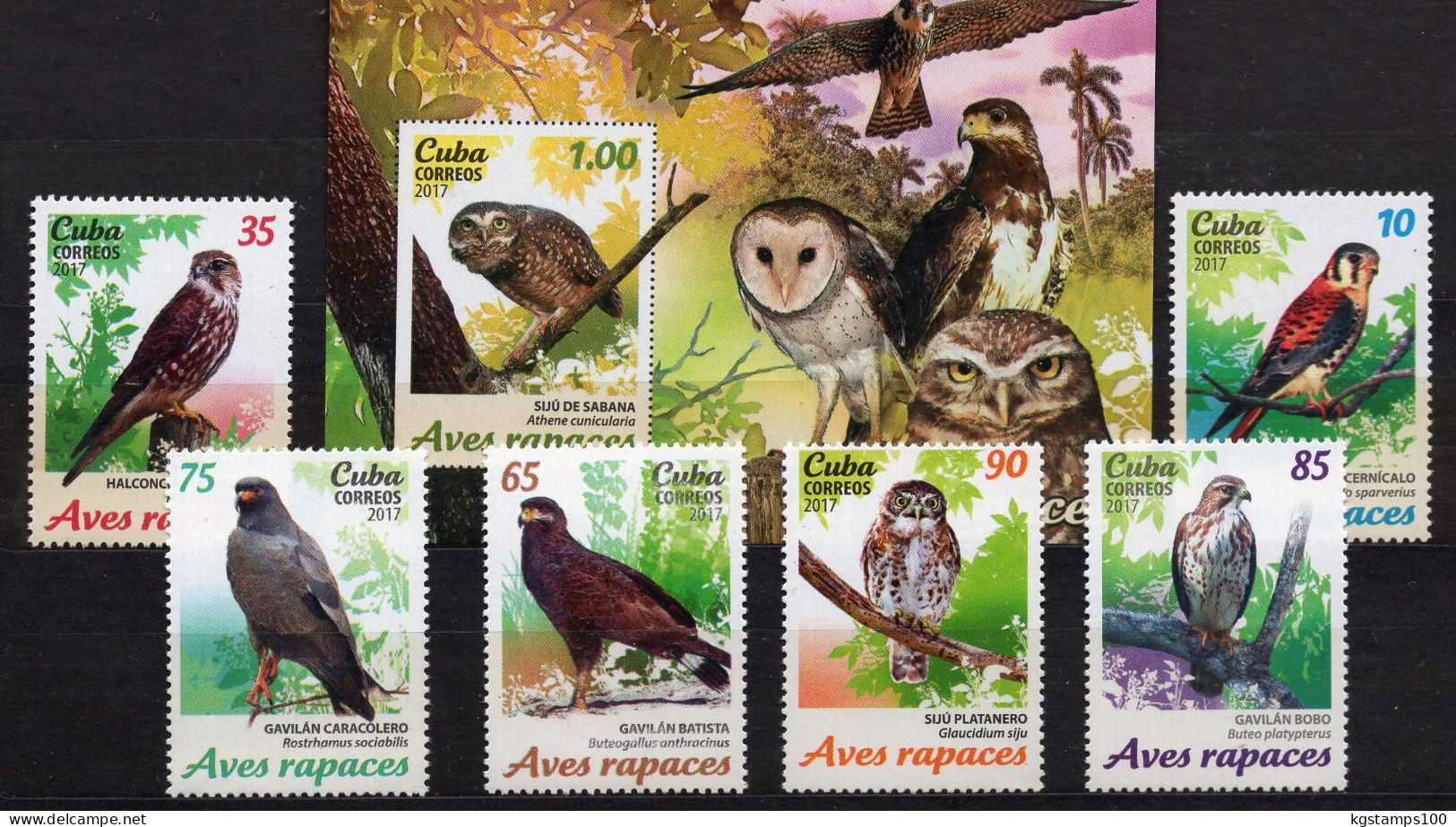 CUBA 2017 FAUNA. BIRDS OF PREY. OWLS. BLOCK+6v**** - Águilas & Aves De Presa