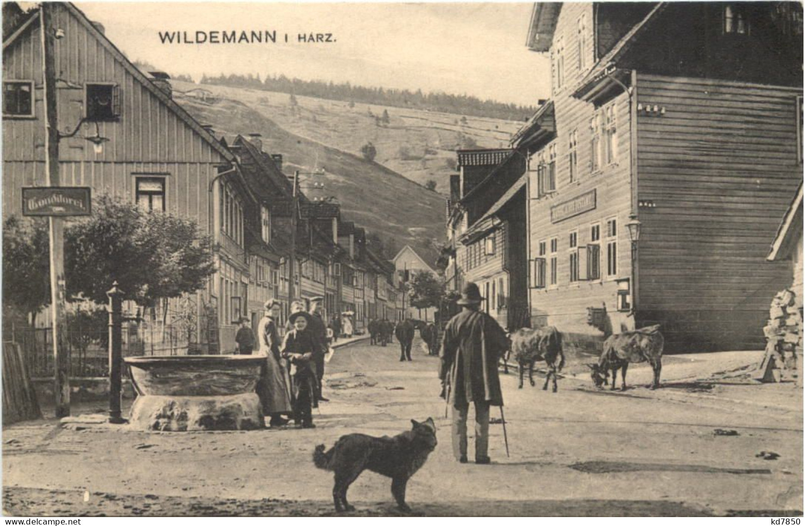 Wildemann Im Harz - Clausthal-Zellerfeld