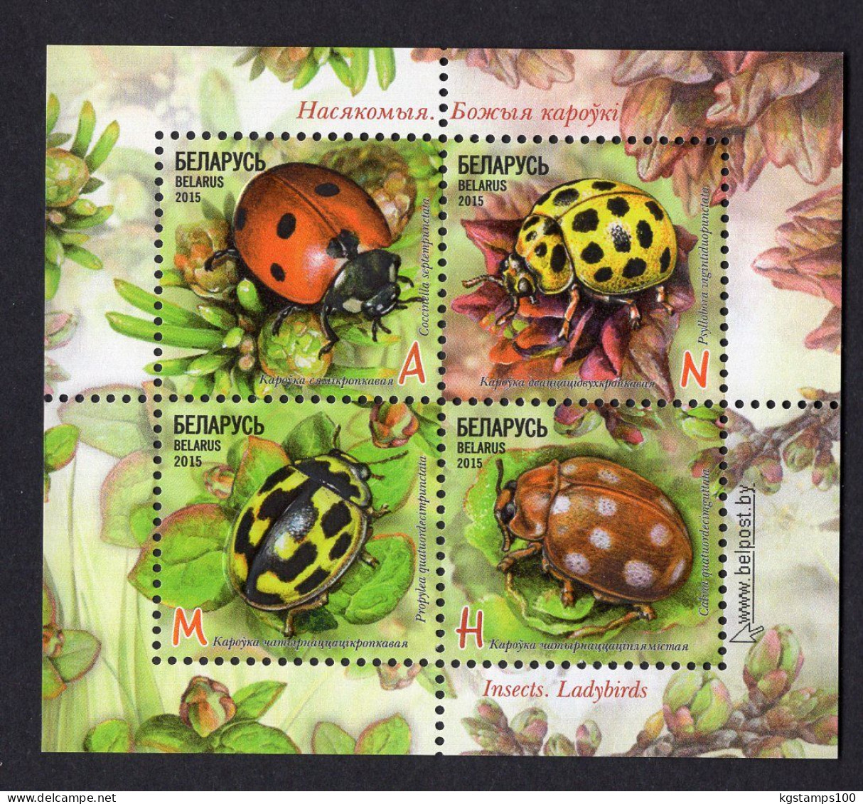 BELARUS 2015 Insects. Ladybirds. M/S** - Autres & Non Classés