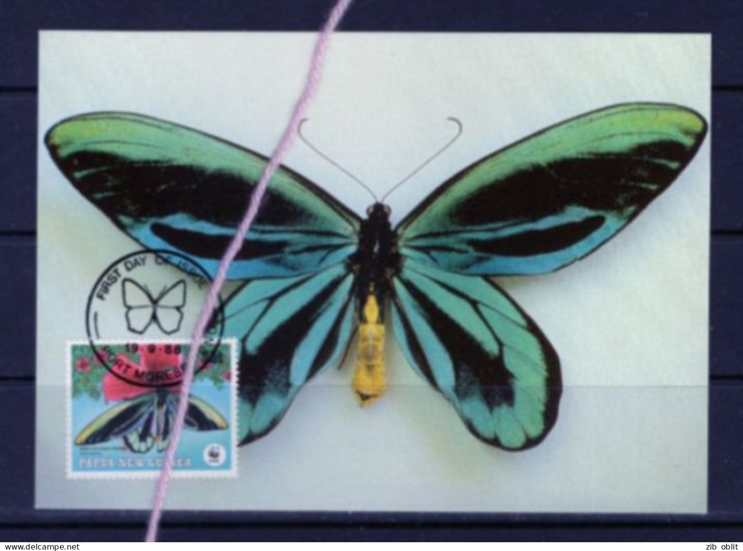 (alm) PAPOUASIE NOUVELLE GUINEE PAPUA NEW GUINEA CARTE MAXIMUM  PAPILLON BUTTERFLY Ornithoptera Alexandrae - Vlinders