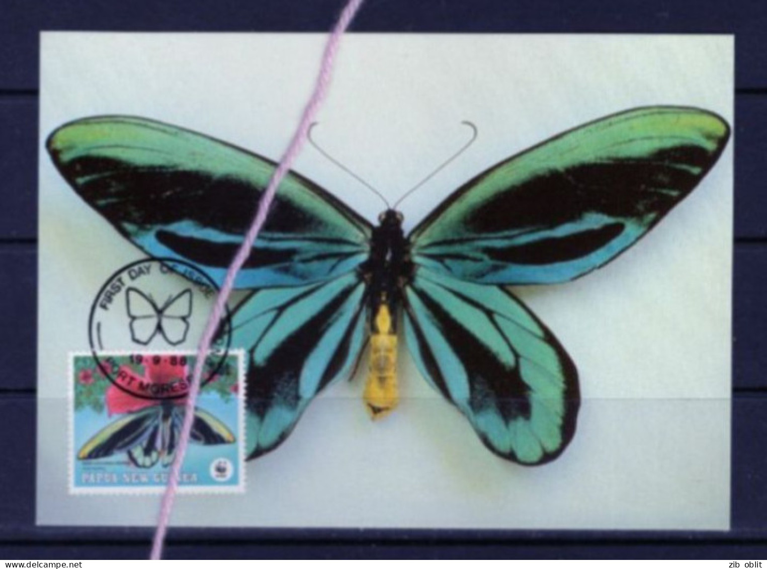 (alm) PAPOUASIE NOUVELLE GUINEE PAPUA NEW GUINEA CARTE MAXIMUM  PAPILLON BUTTERFLY Ornithoptera Alexandrae - Farfalle