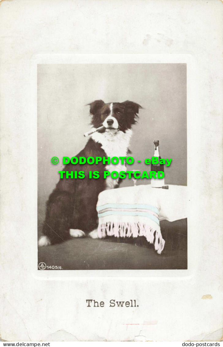 R560235 Dog. Swell. A. L. 1405 6. Aristophot. RP. 1909 - Monde