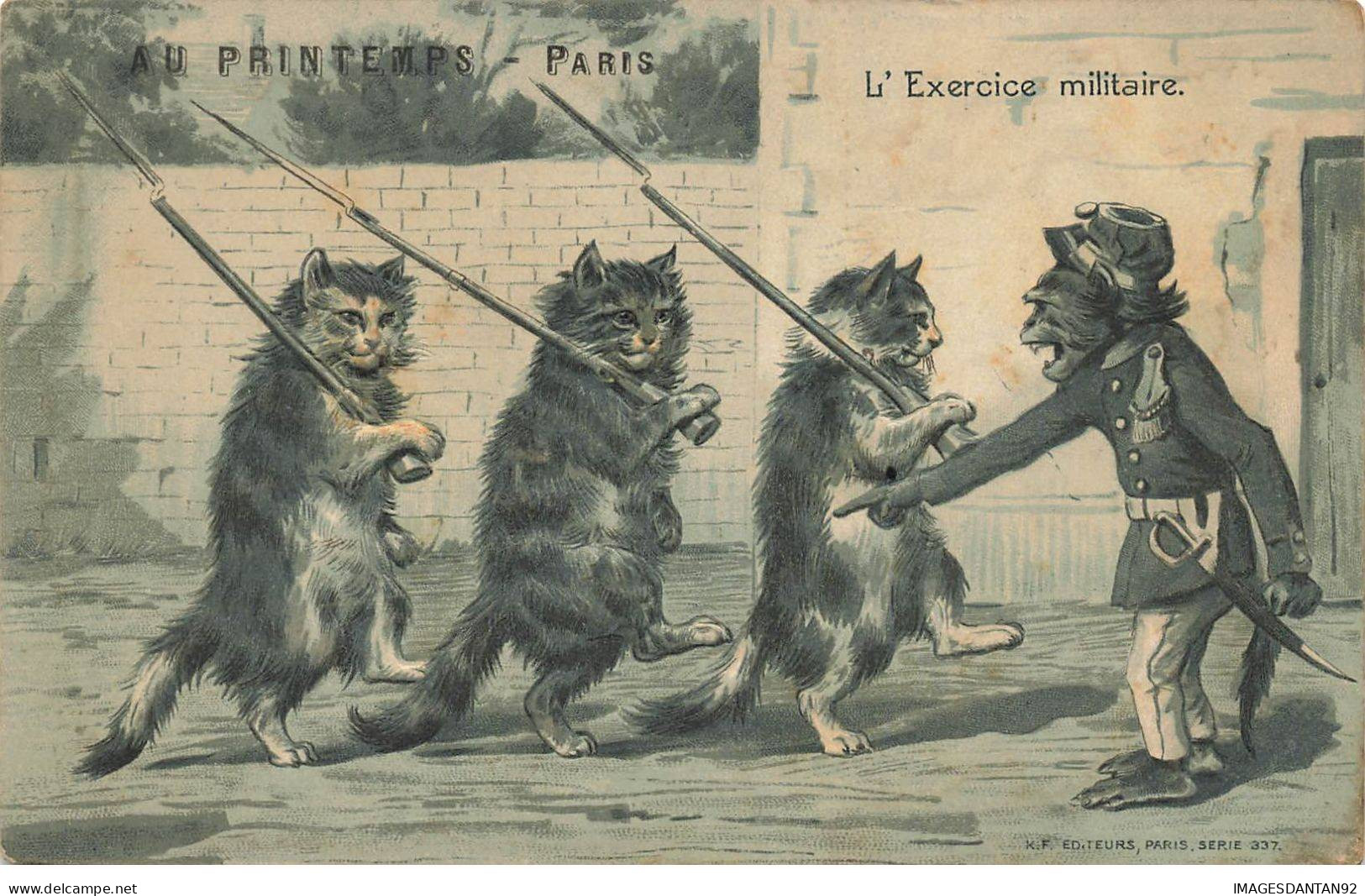 SINGE #FG56655 UN SINGE DIRIGE UN GROUPE DE CHATS A L EXERCICE MILITAIRE - Singes