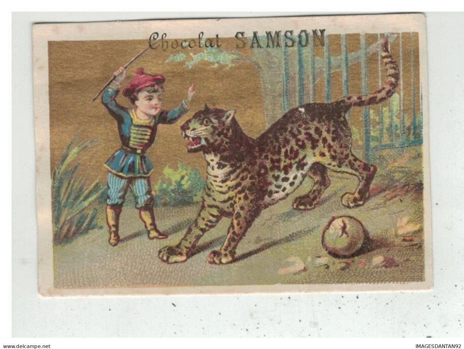 PARIS CHOCOLAT SAMSON RHUM SAINT COME MONTAUBAN DRESSEUR TIGRE LEOPARD CHROMO DORE - Autres & Non Classés