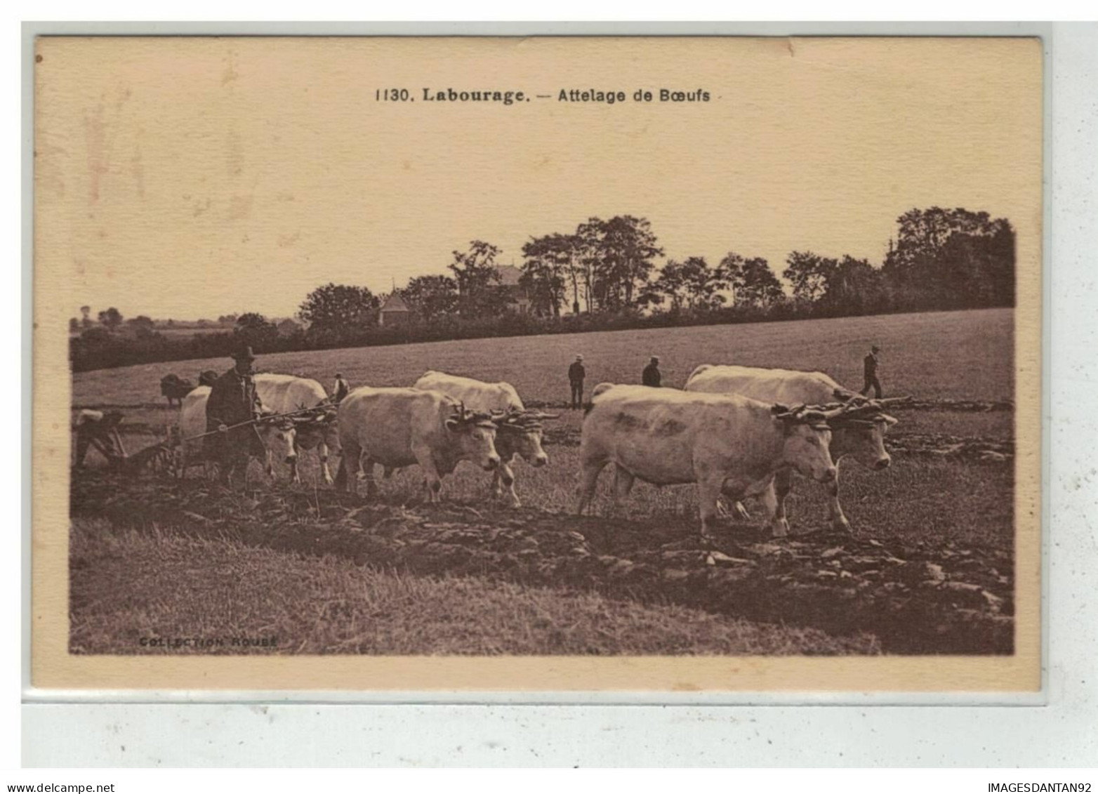 58 CLAMECY #15778 LABOURAGE ATTELAGE DE BOEUFS HERSE HERSAGE EDIT ROUBE - Clamecy